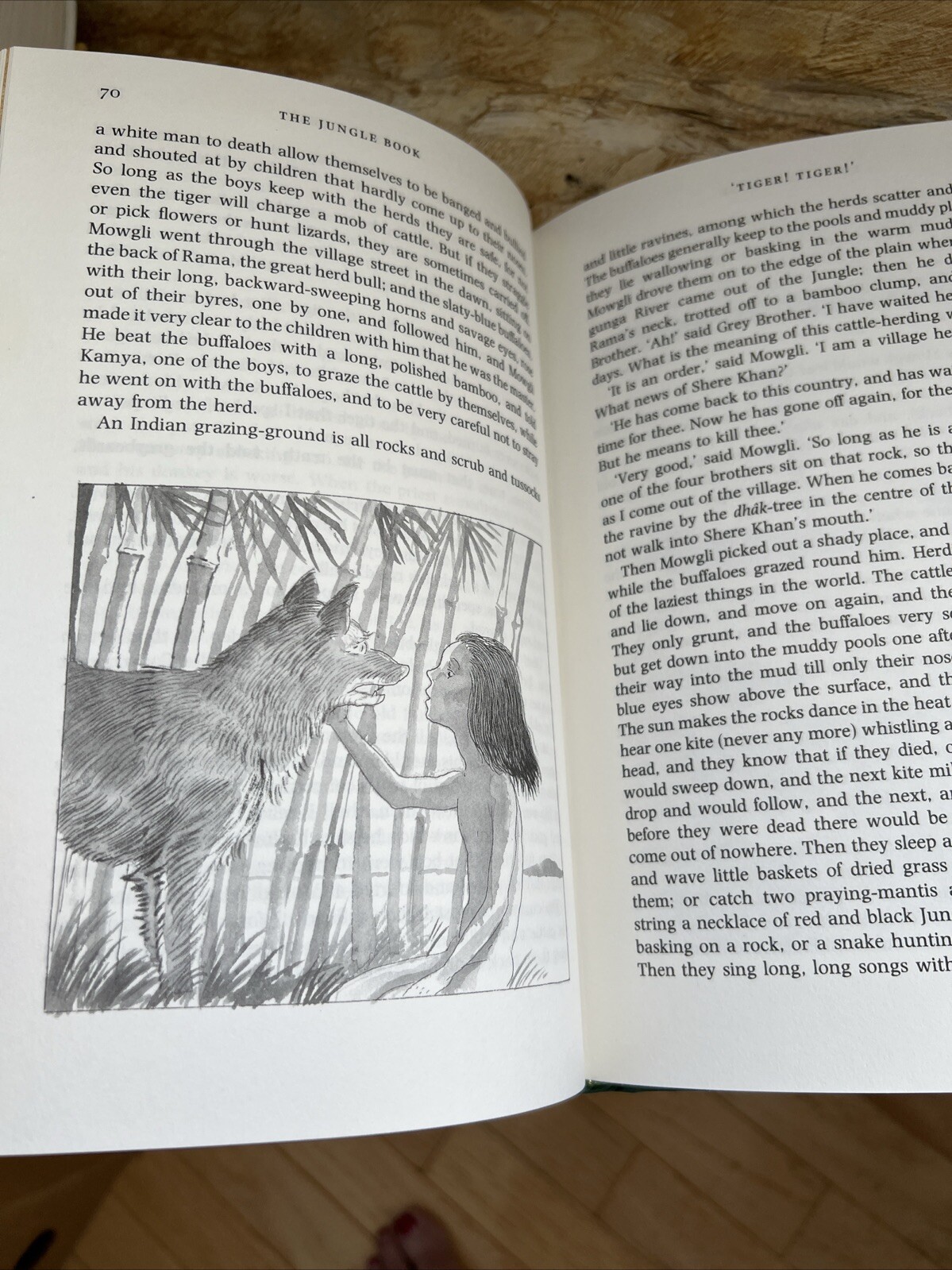 The Jungle Book Rudyard Kipling Illustrated by Michael Foreman HC/DJ/1987