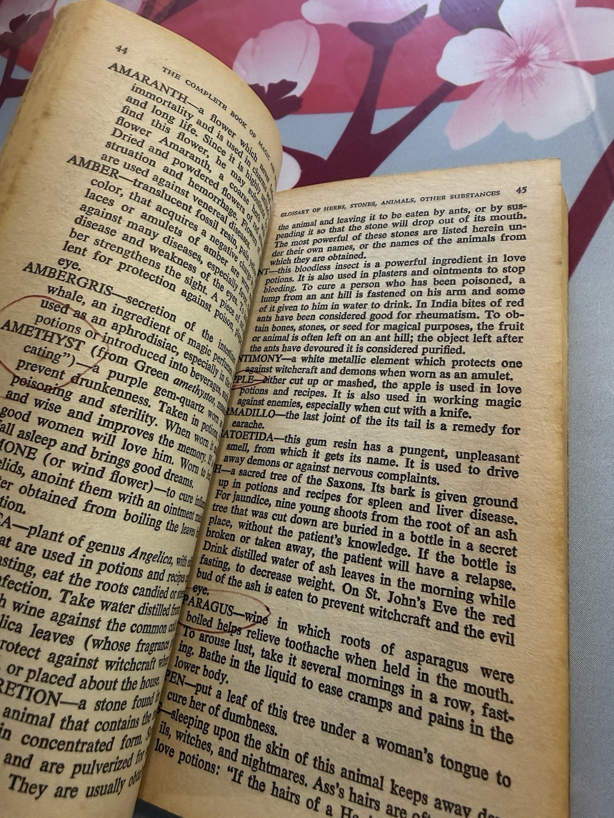 Complete Book OF Magic & Witchcraft PB Kathryn Paulsen Revised Edition 1980 PB