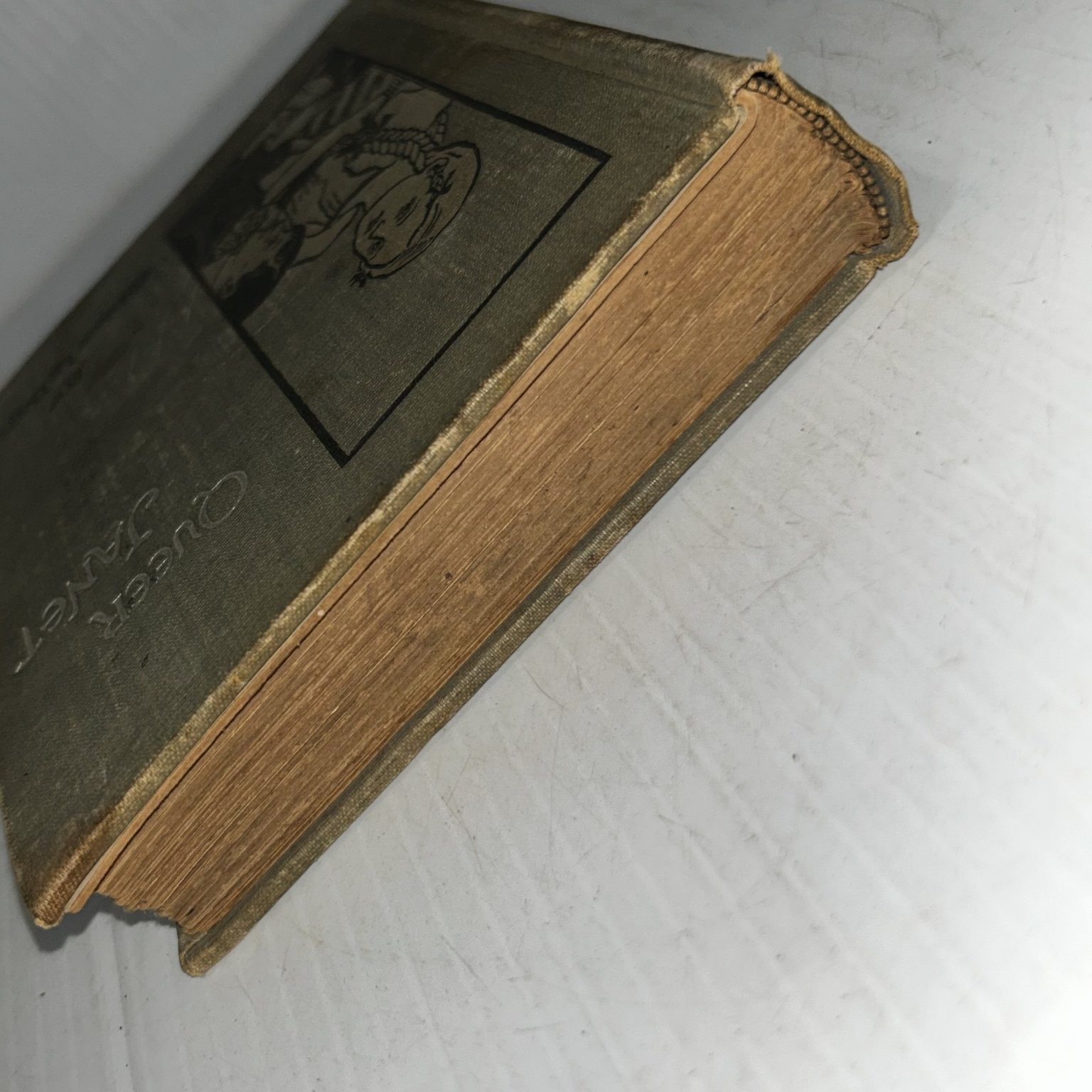 Queer Janet Grace Le Baron 1897 Illustrated Children’s Juvenile Lee & Shepard