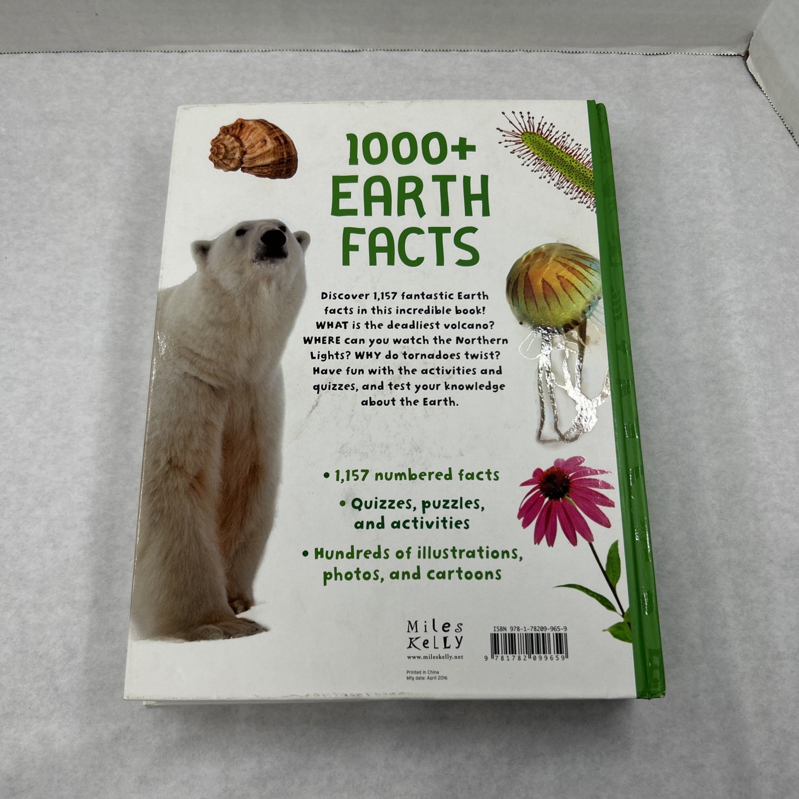 1000+ Earth Facts by Miles Kelly Hardcover 2016