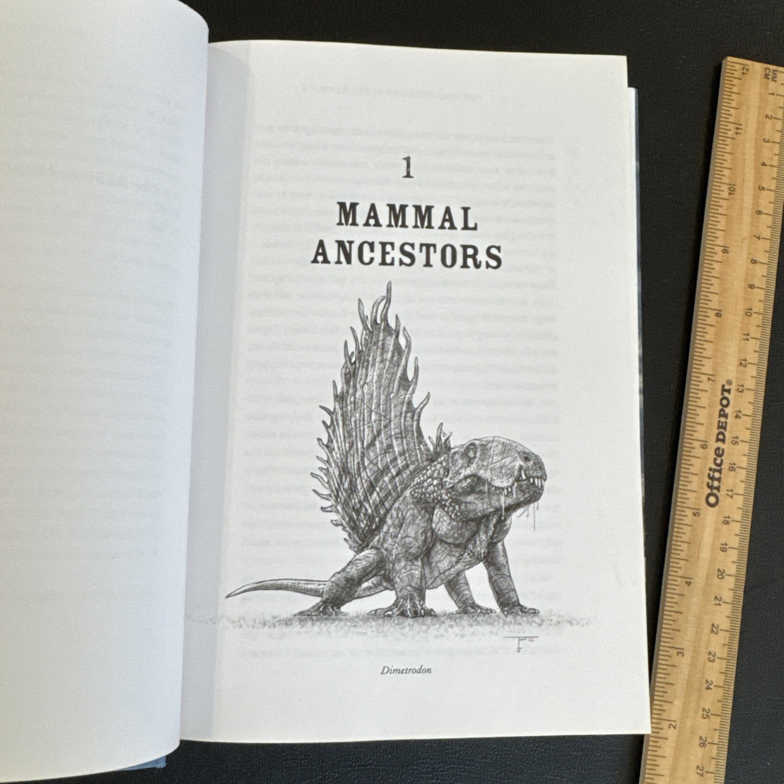 First Edition – The Rise and Reign of the Mammals: A New History, Steve Brusatte