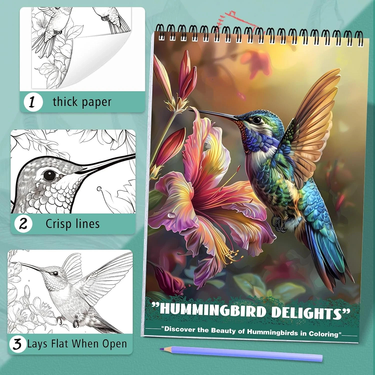 Humming Bird Adult Coloring Book Spiral Bound Mindfulness Adult Coloring Book.