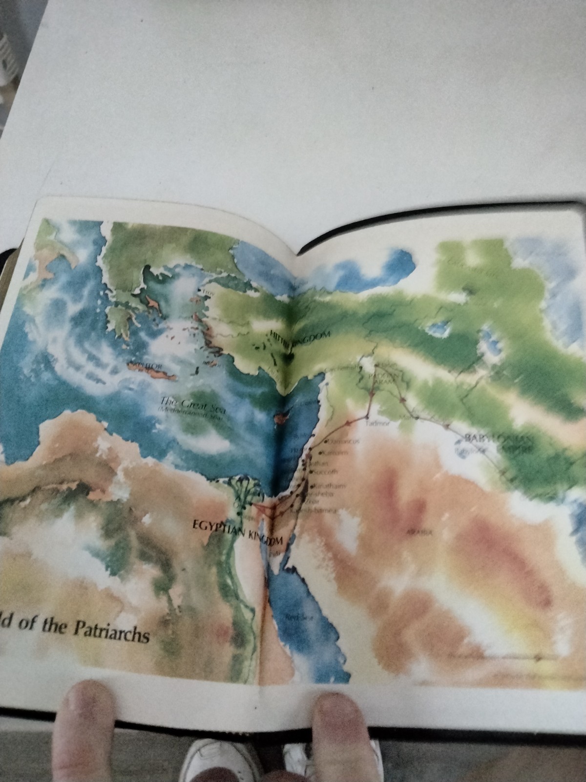 Holy Bible New International Version