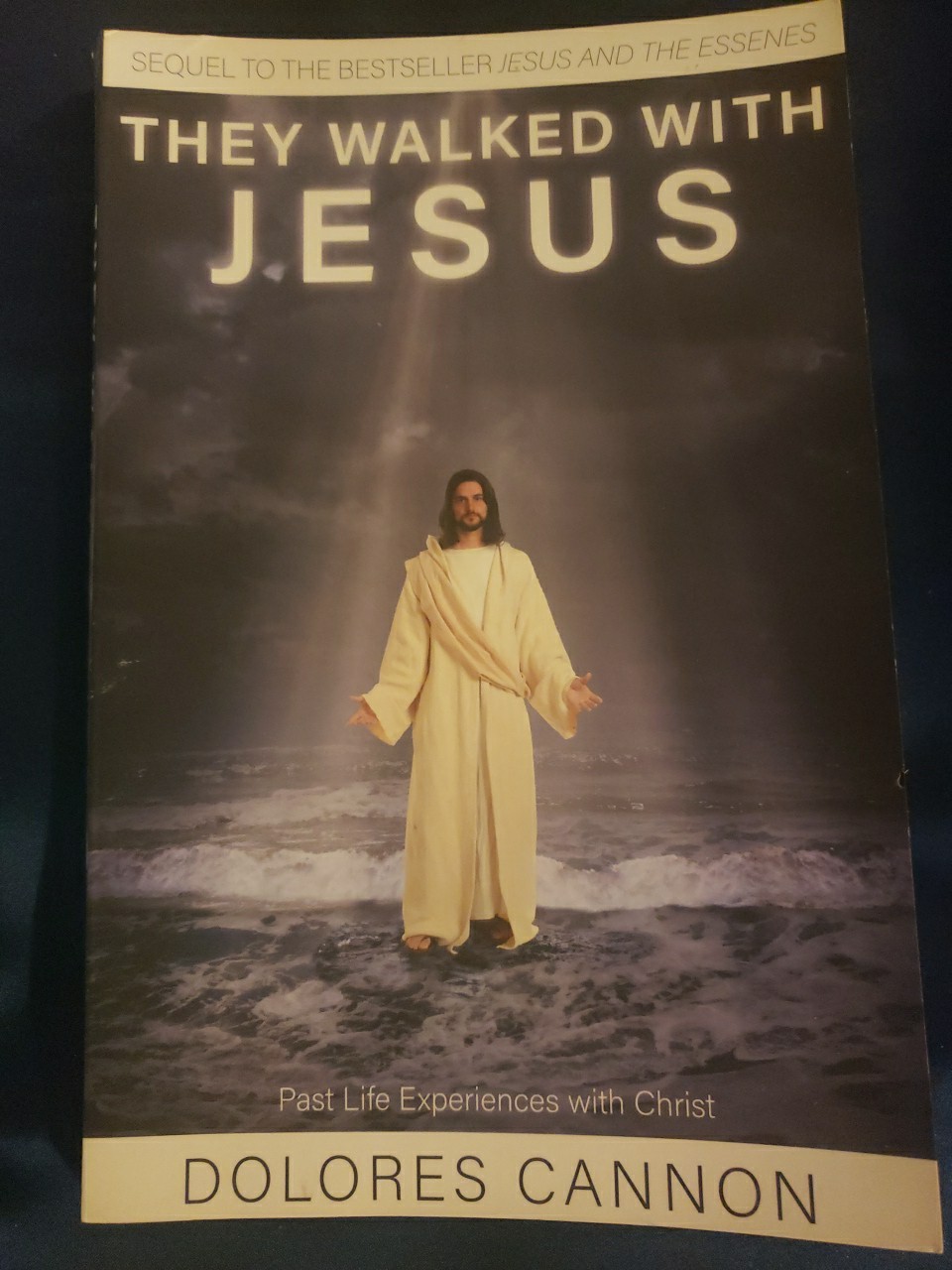 They Walked with Jesus: Past Life Experiences with Christ by Dolores Cannon
