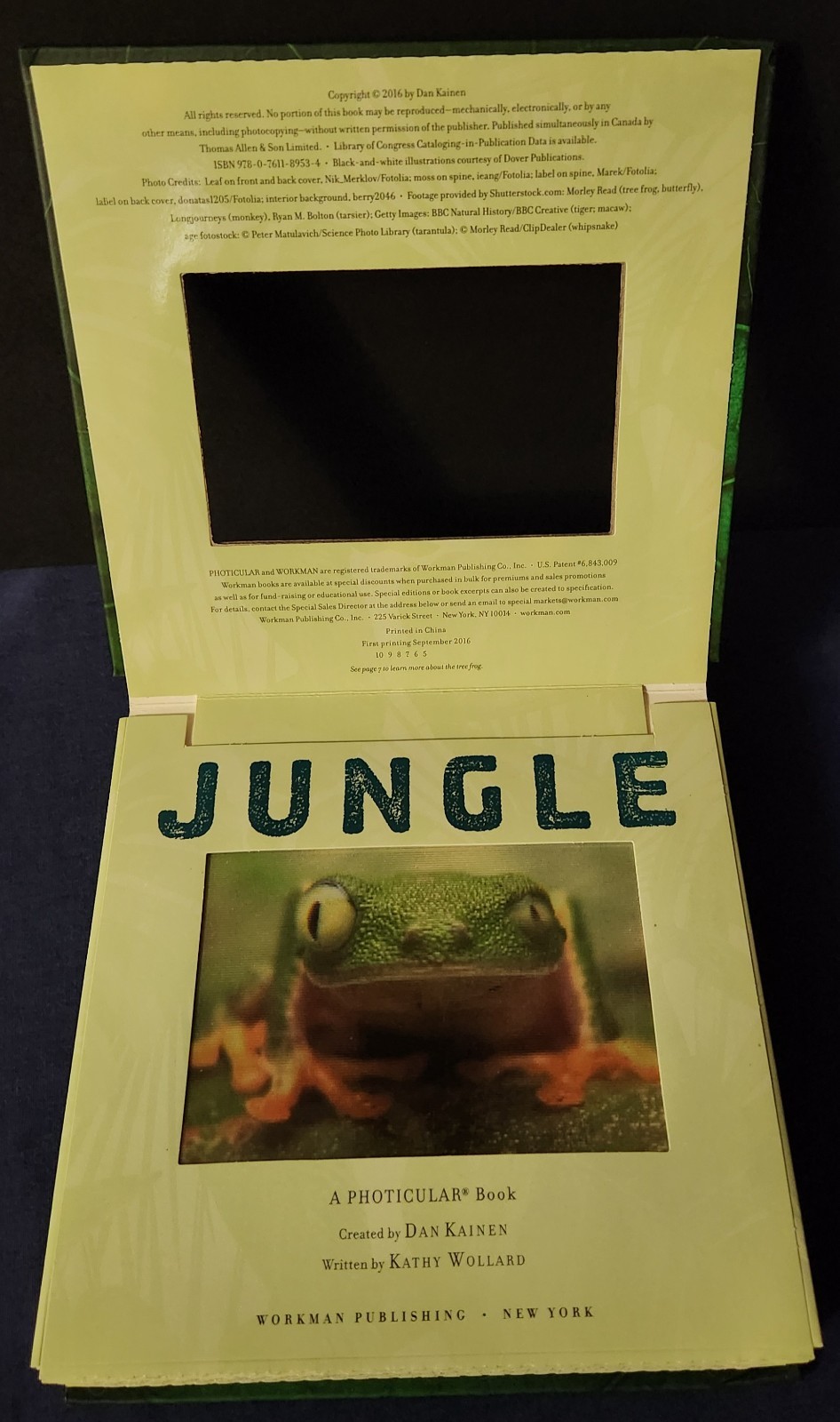 Set of 4 Dan Kainen Photicular Books Jungle Wild Ocean Outback Motion Rare