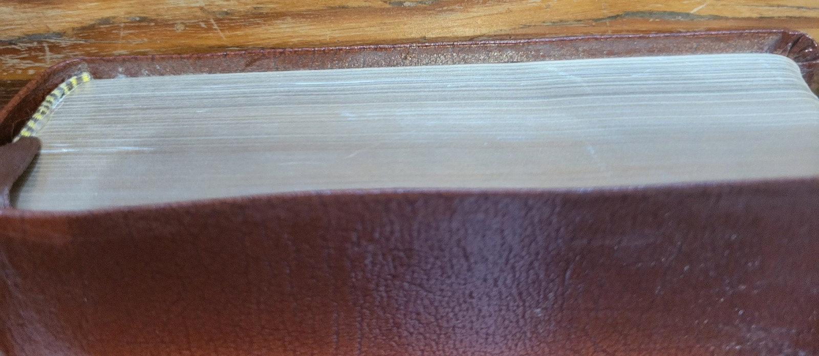 New American Bible NAB St Joseph Medium Size Edition 1992 Catholic Book Publish