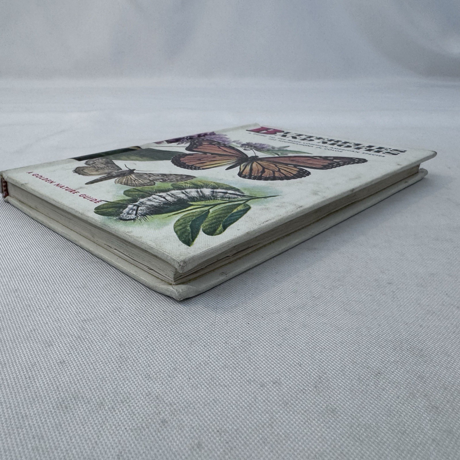 Butterflies and Moths A Golden Nature Guide Hardback 1964 Golden Press Fast Ship
