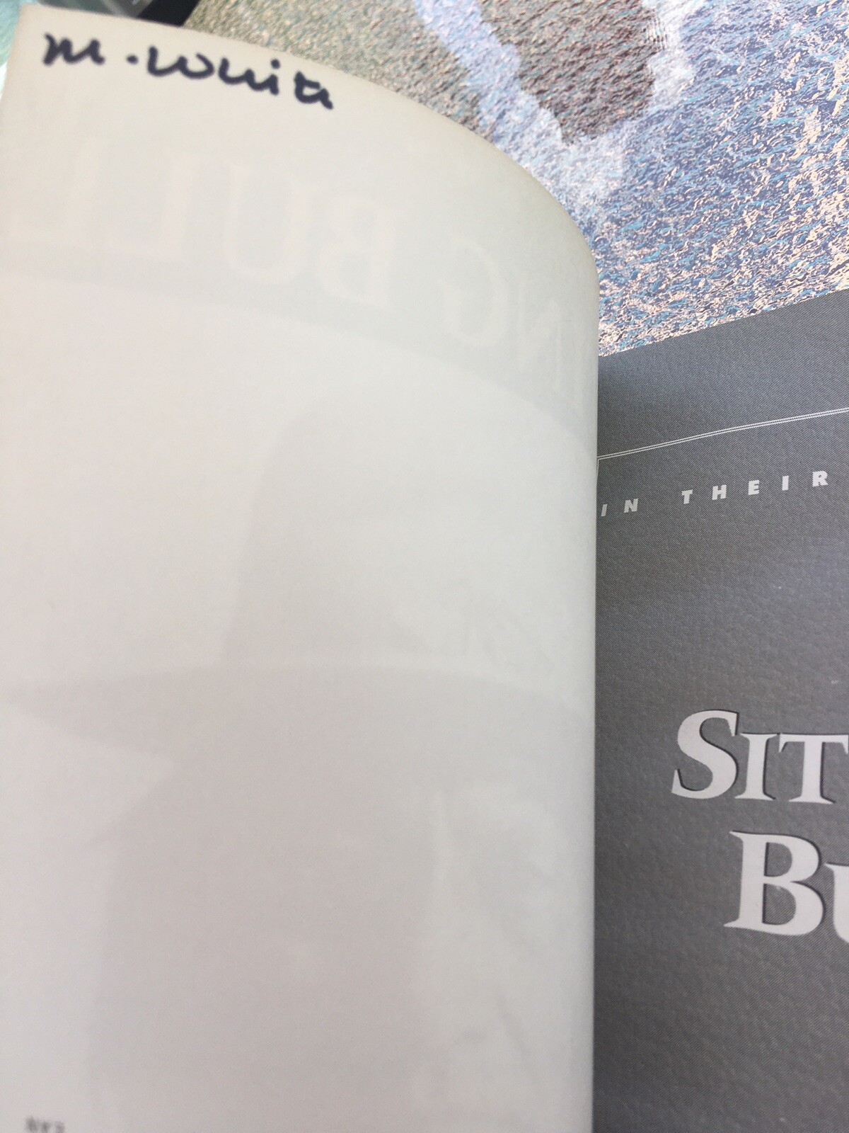 In Their Own Words Ser.: Sitting Bull by Peter Roop and Connie Roop (2002,…