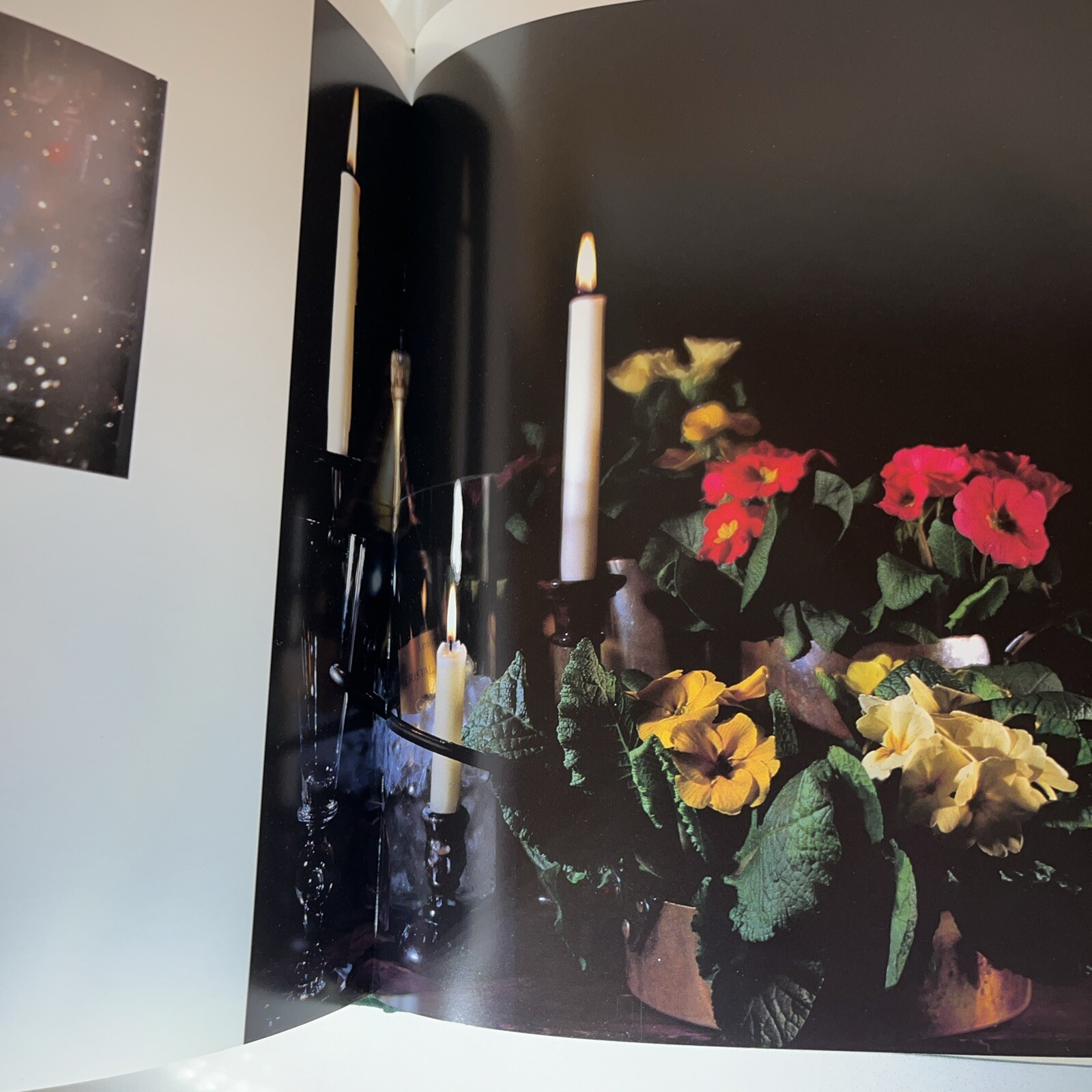 Madderlake Flowers Rediscovered 1985 First Edition Hardcover Dust Jacket NEW