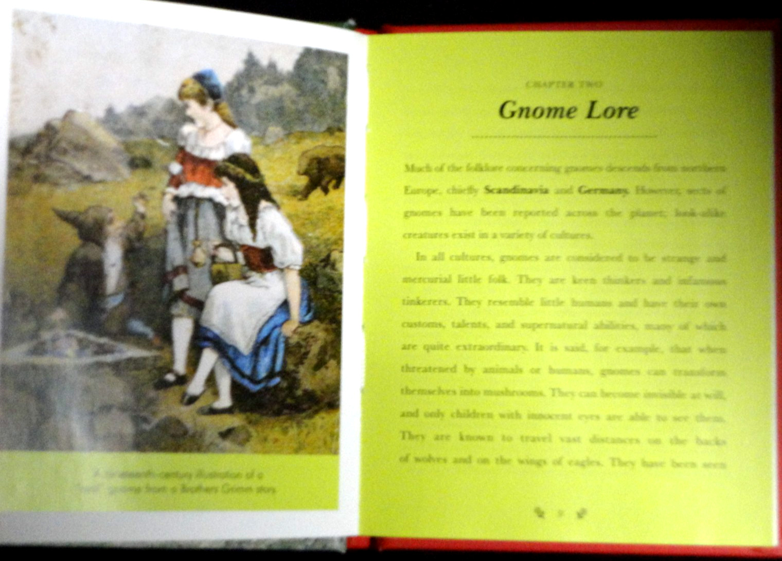The Garden Gnome Book, The History, NEW! Hardcover Get to Know, Lore, in Public