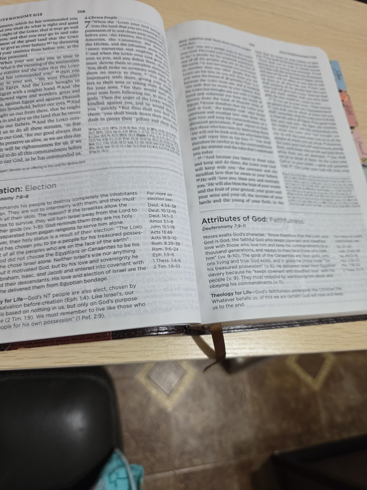 ESV Systematic Theology Study Bible (TruTone, Brown/Cordovan, Portfolio Design)