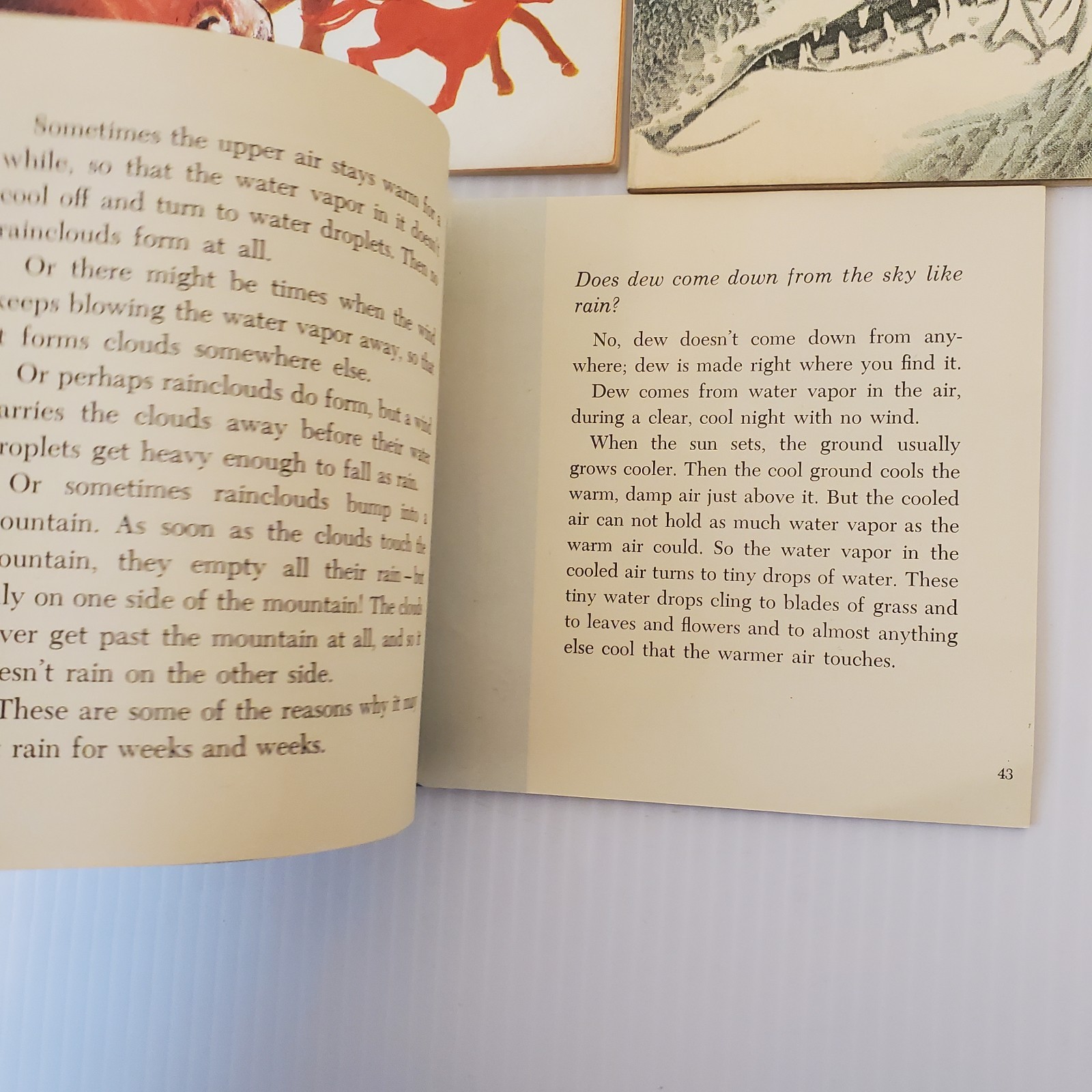 Lot of 3 Scholastic Books Horses Richard Harris, Sharks Tinkelman, About Weather