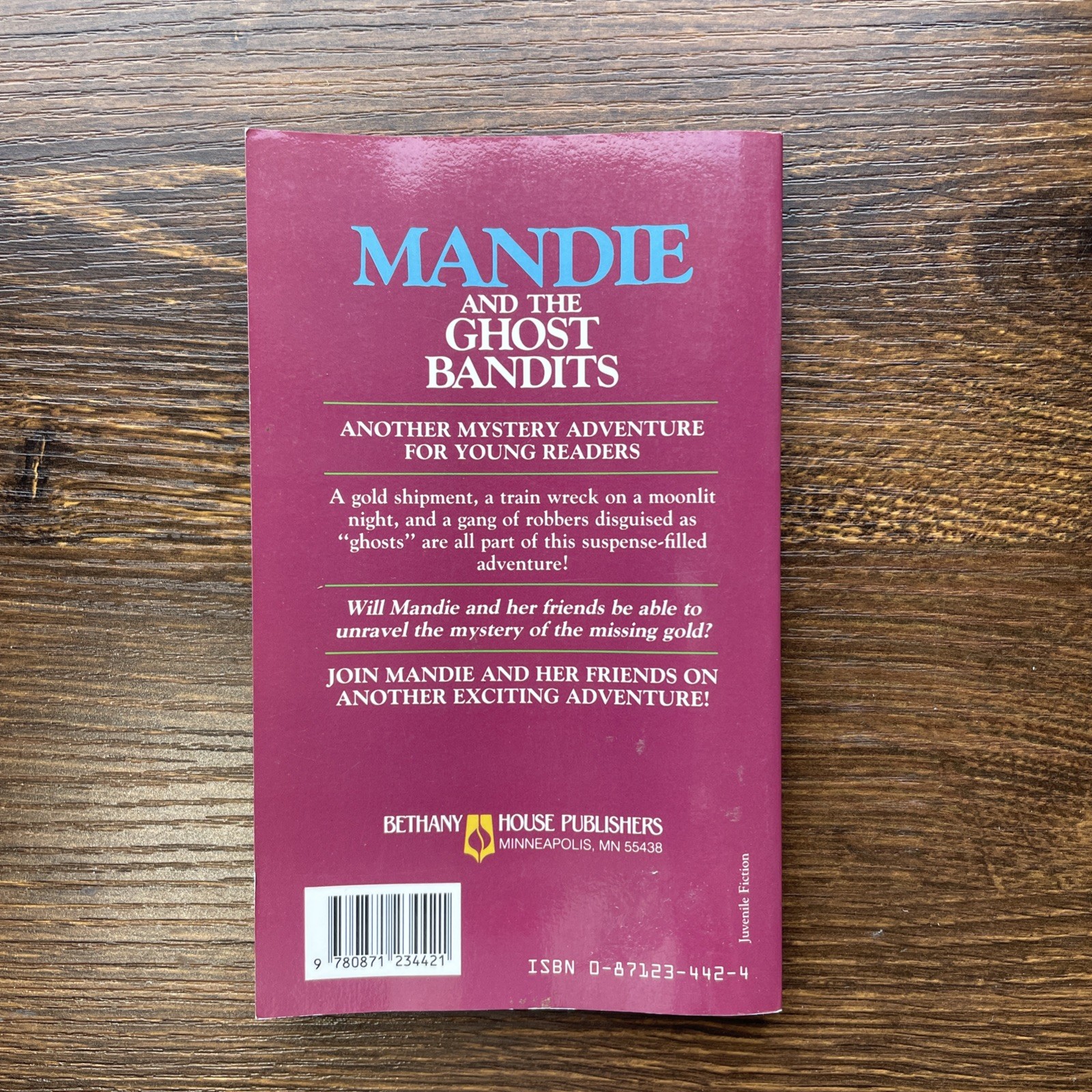Mandie Mystery Book Lot of 4 PB Lois Gladys Leppard See Photos Varied Condition