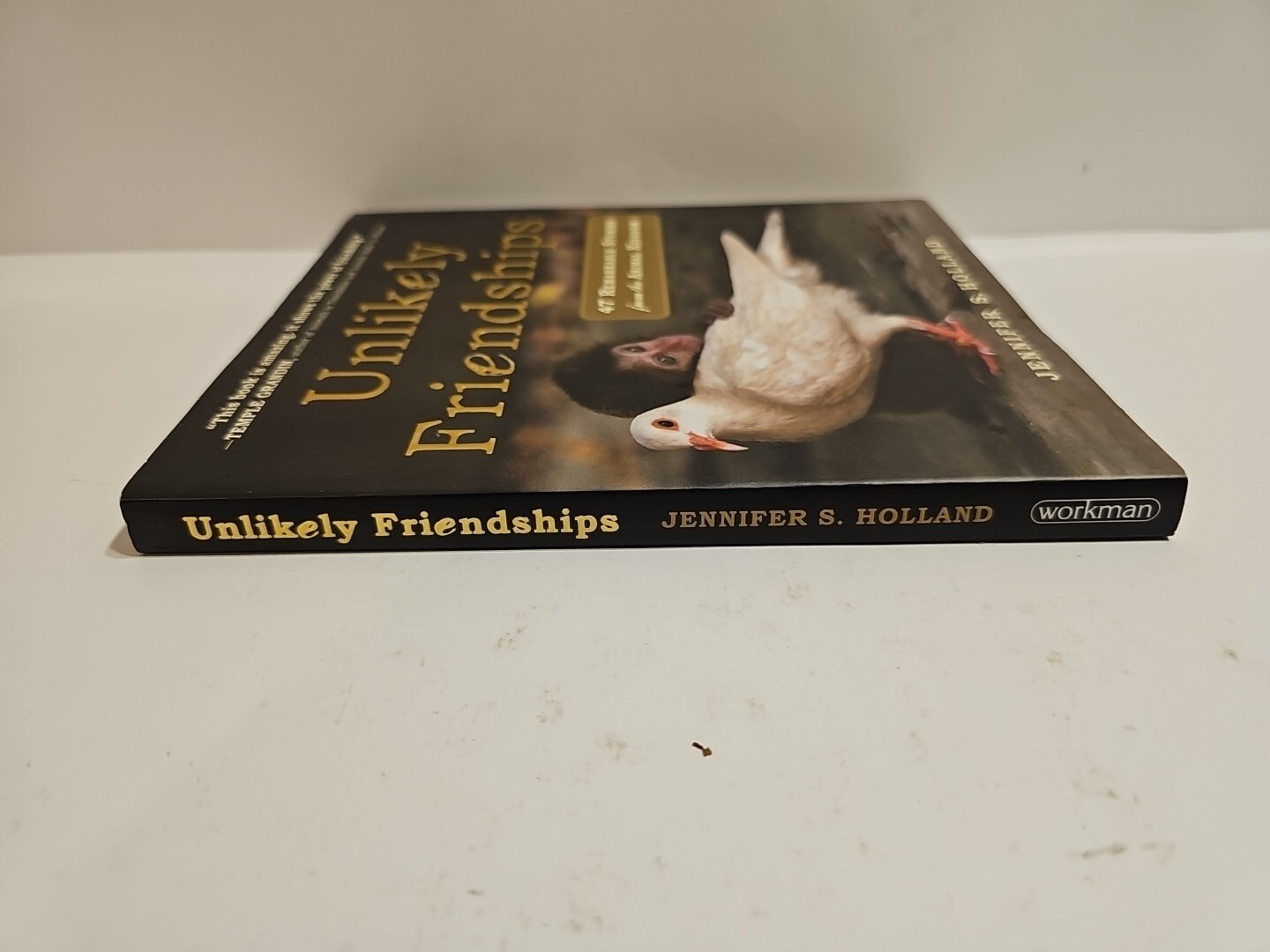 Unlikely Friendships 47 Remarkable Stories Animal Kingdom Jennifer Holland