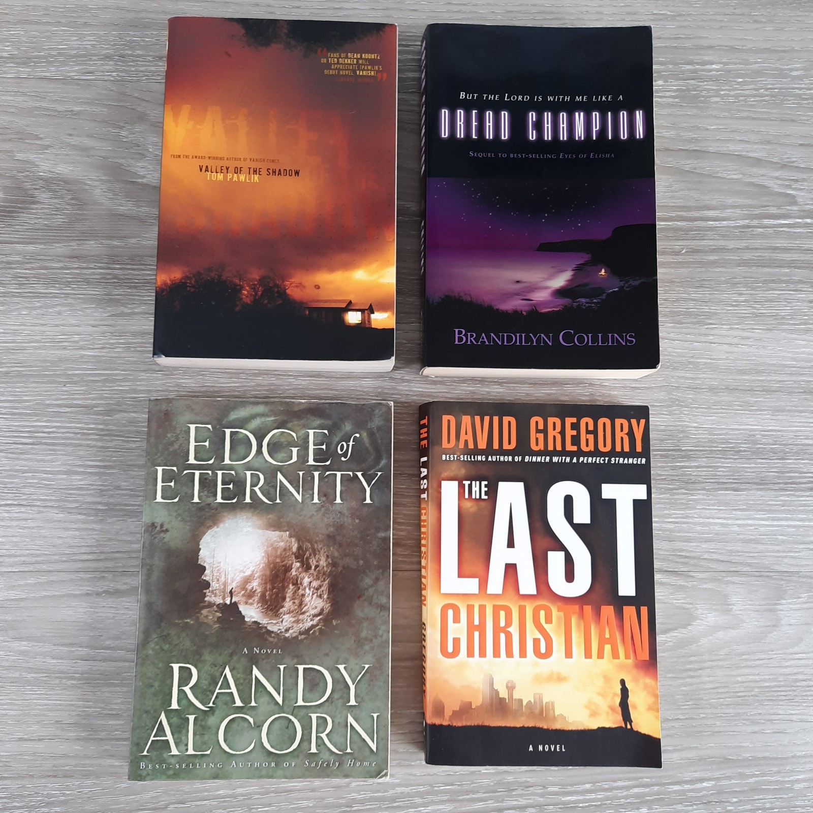 Christian Fiction Lot of 10 Trade Paperbacks Ted Dekker Wm. Paul Young Davis