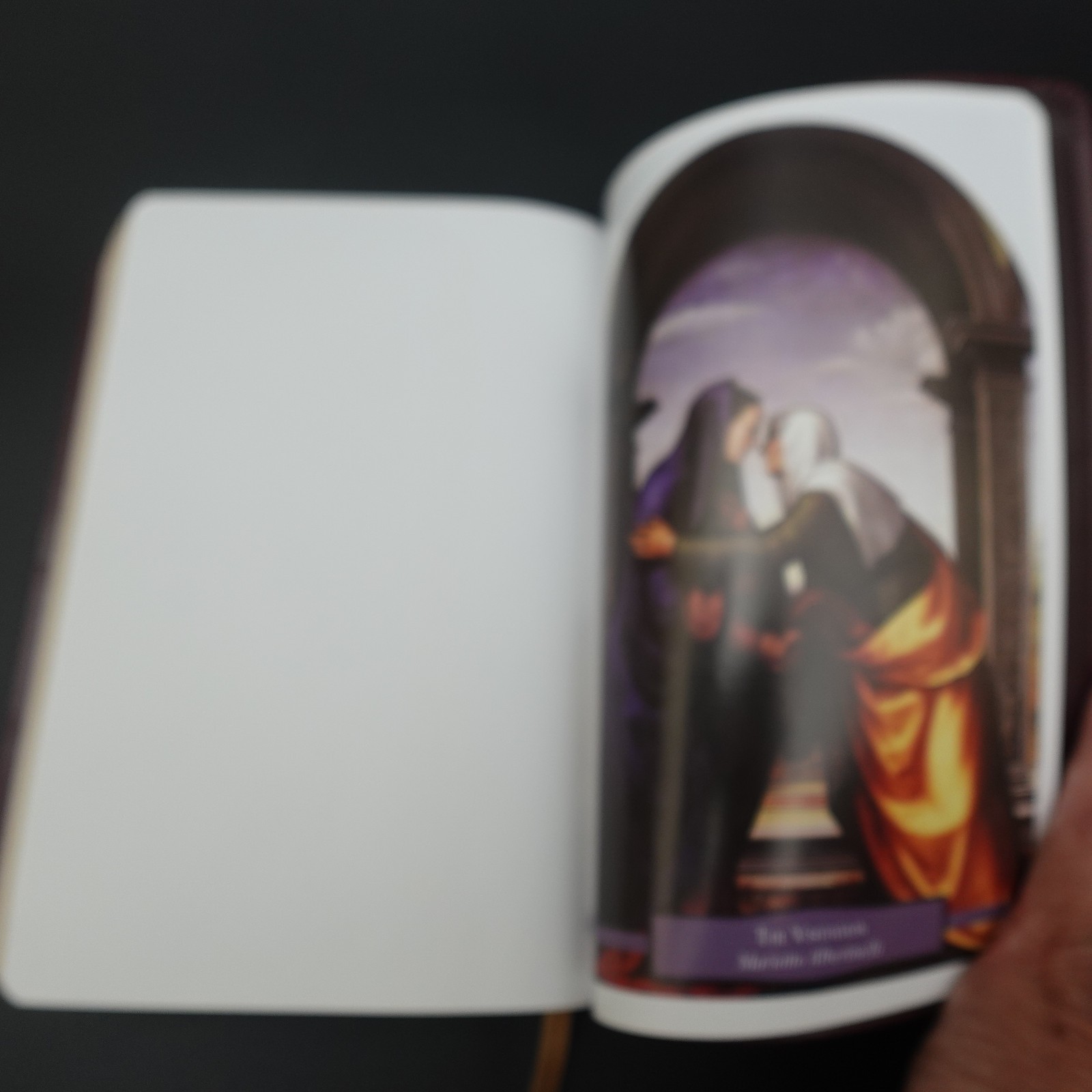 Douay Rheims Bible Burgundy Premium UltraSoft Catholic Bible St Benedict Press