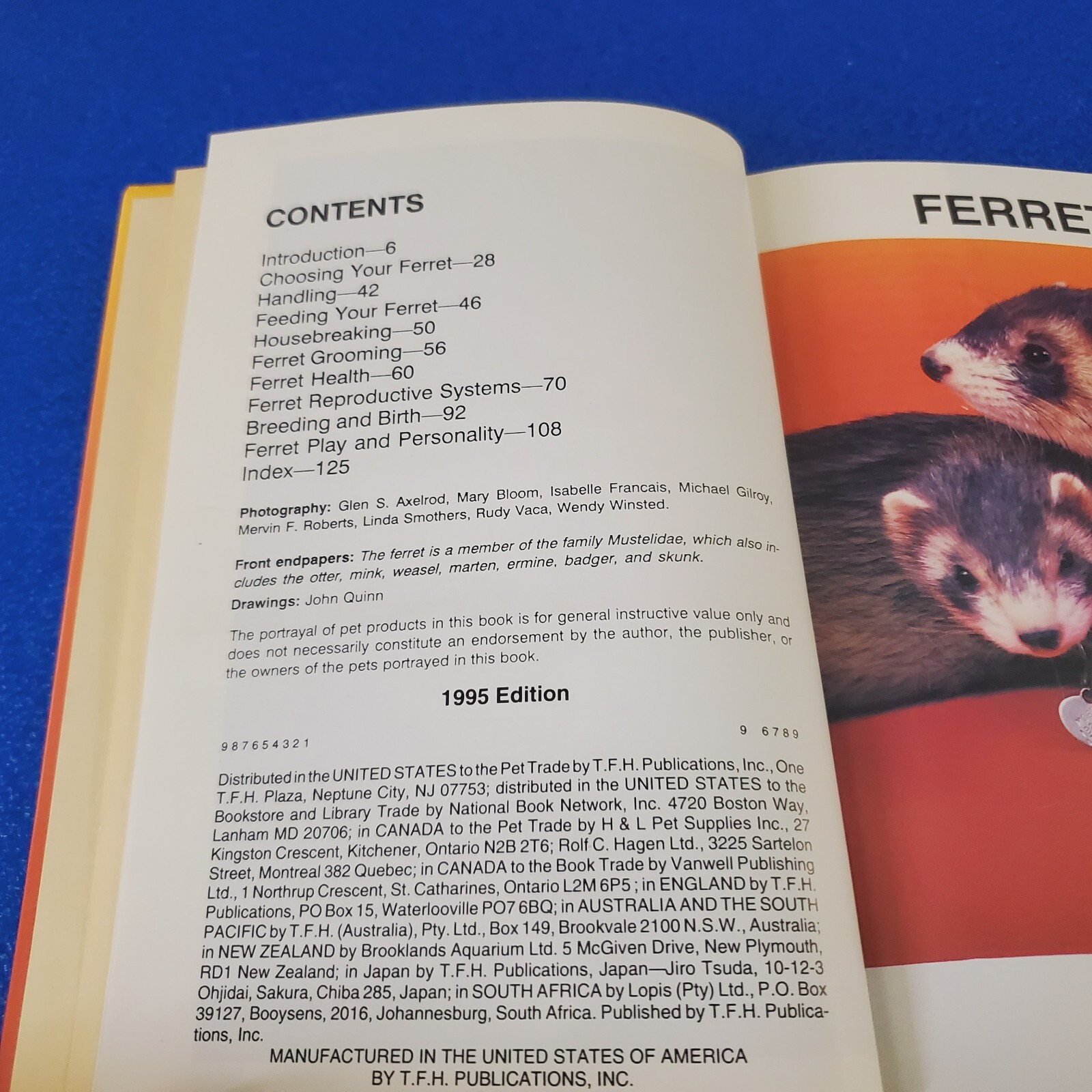 FERETS HARDCOVER 128 PAGES OVER 90 FULL-COLOR ILLUSTRATIONS FREE SHIPPING