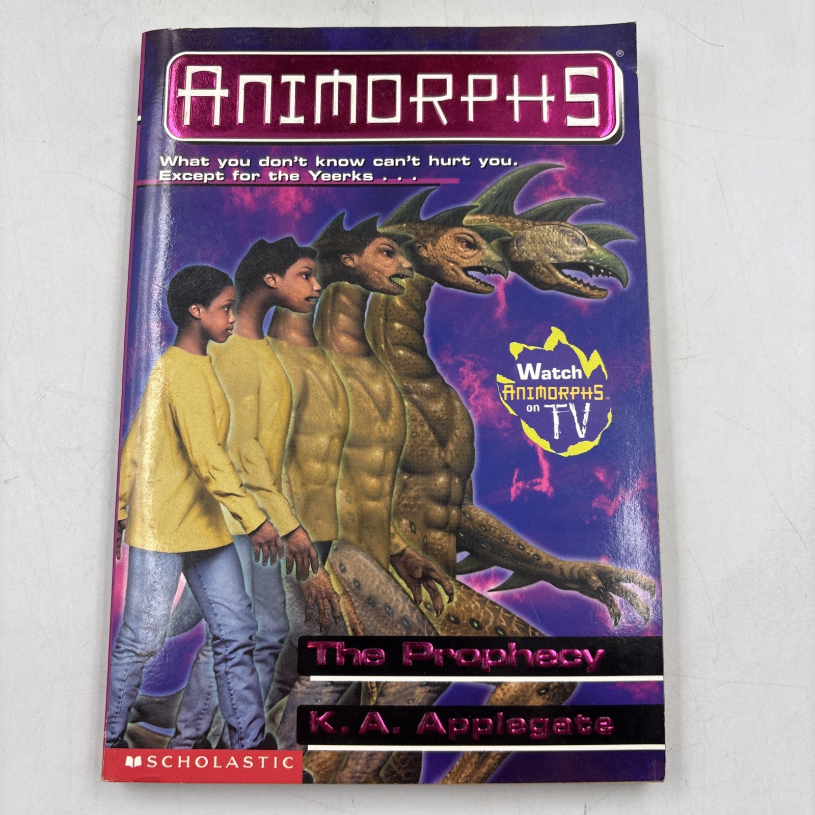 Animorphs Book Lot of 15 K.A. Applegate Scholastic Paperback Vintage 15
