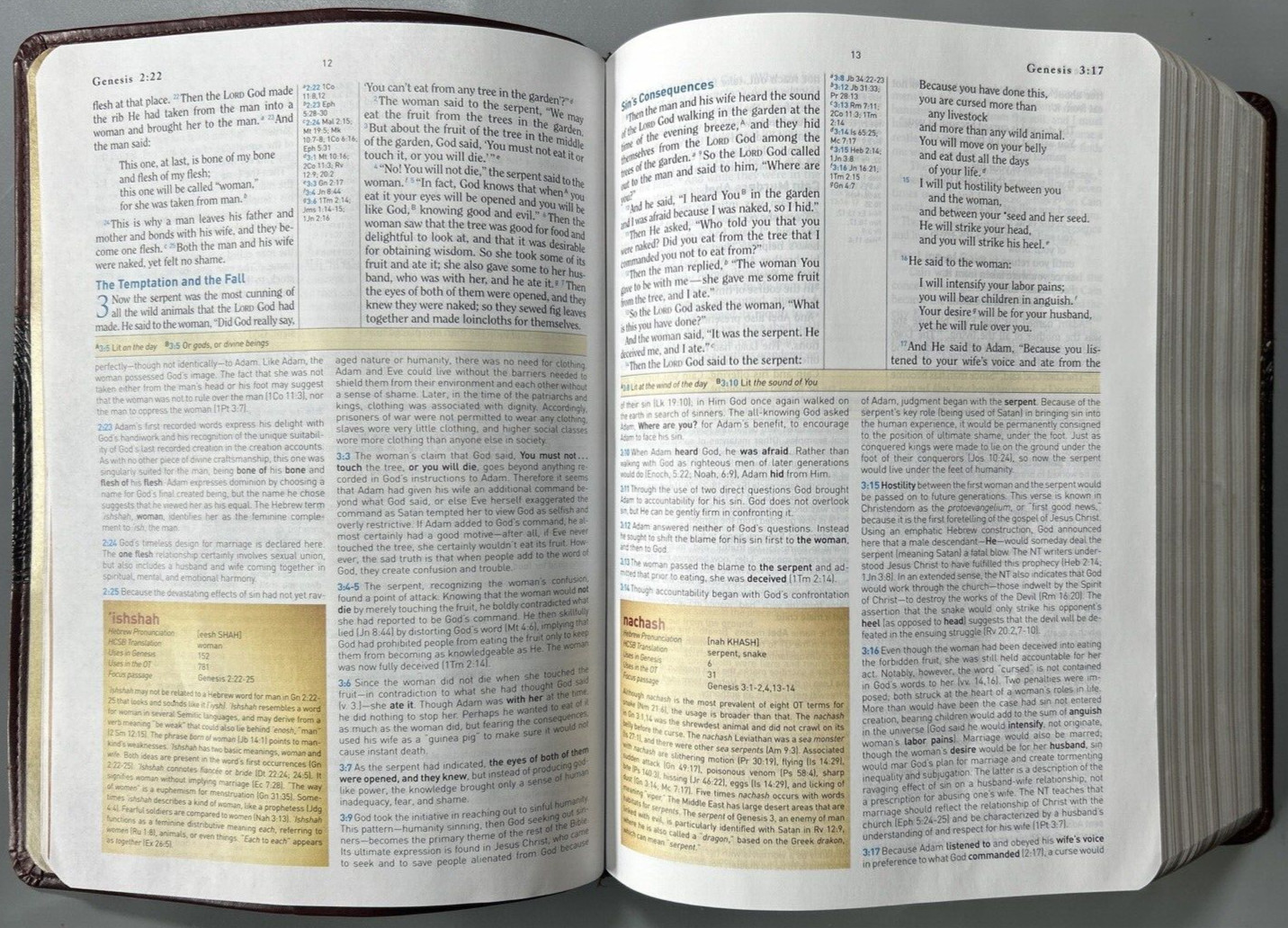 HCSB Study Bible Mahogany Duotone Simulated Leather Clean Text G+ USA Print