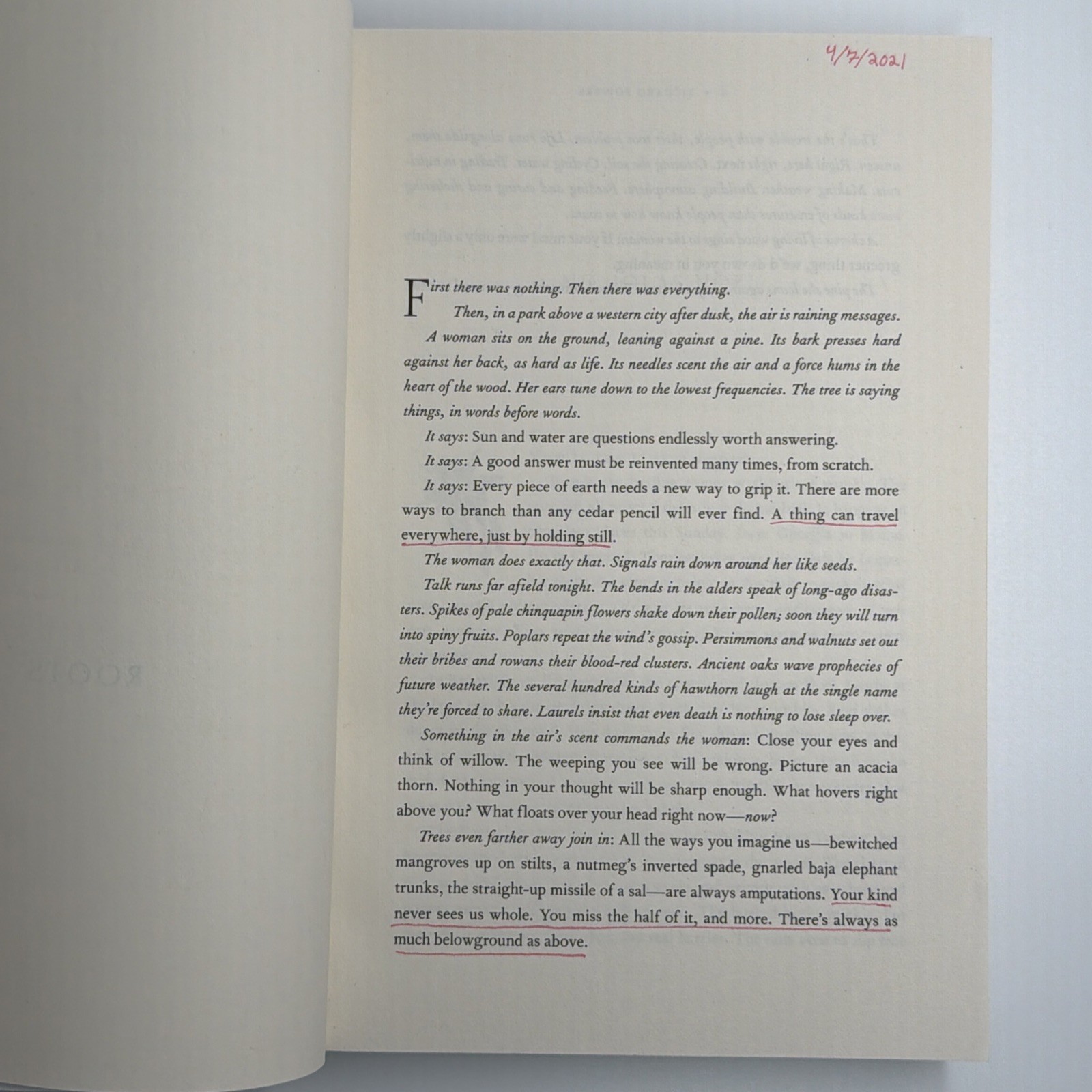 Overstory : A Novel Richard Powers 2019 Paperback Pulitzer National Book Award