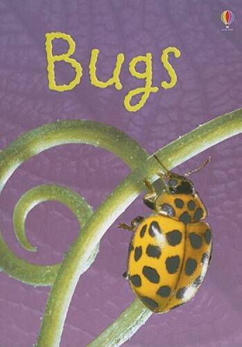 Bugs (Usborne Beginners) – Hardcover By Bowman, Lucy – VERY GOOD