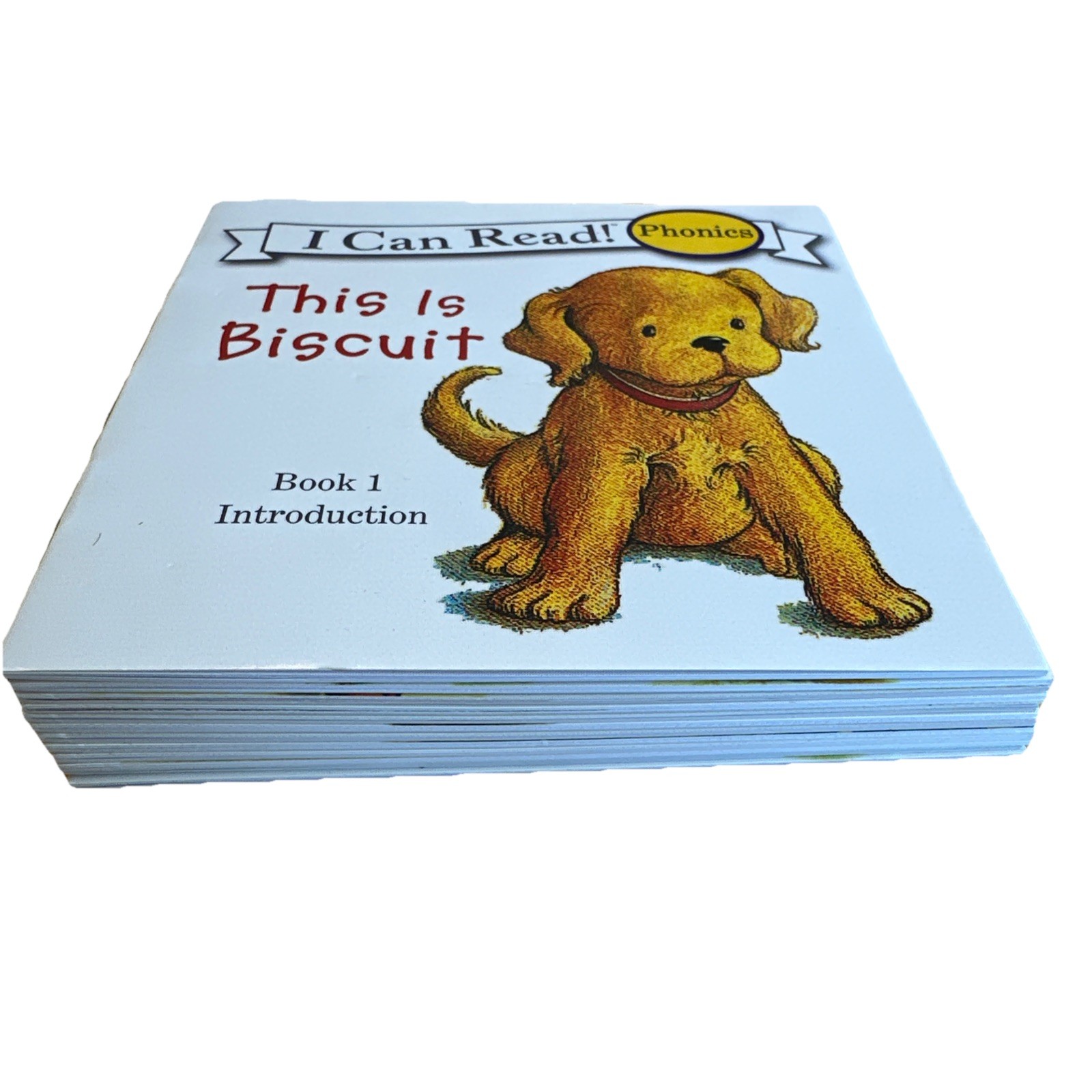 Biscuit I Can Read Phonics Kids Books Lot 24 Introduction Beginner Readers