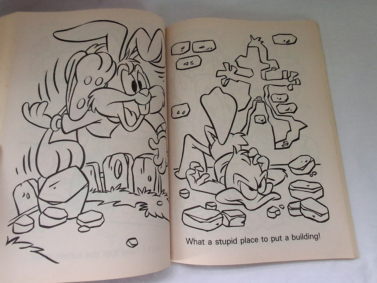 Vintage Looney Tunes & Tiny Toon Adventures Coloring Activity Book Lot 90s