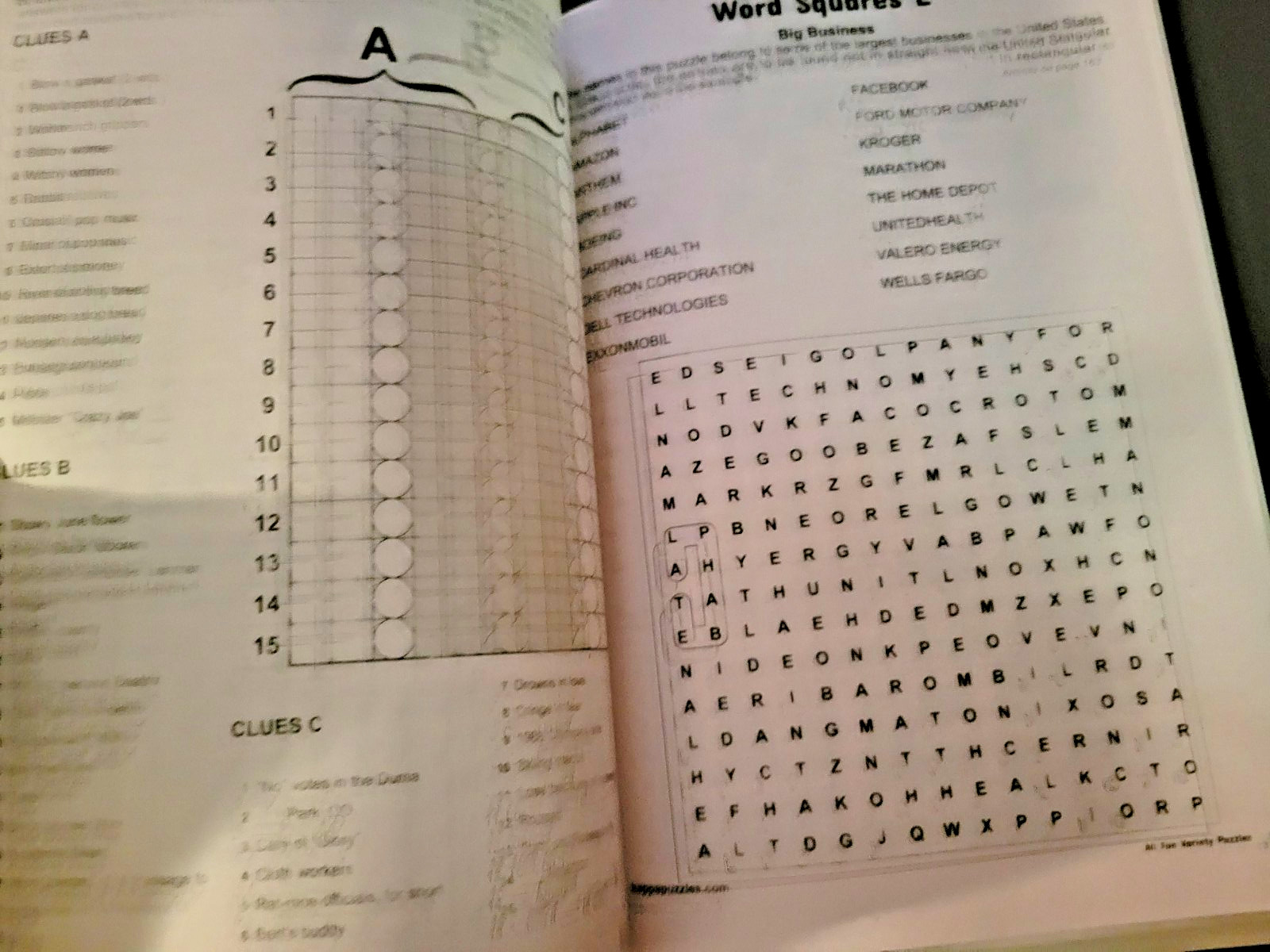 All Fun Variety Puzzles by Kappa – Over 250 Easy-To-Read Favorites To Solve -NEW