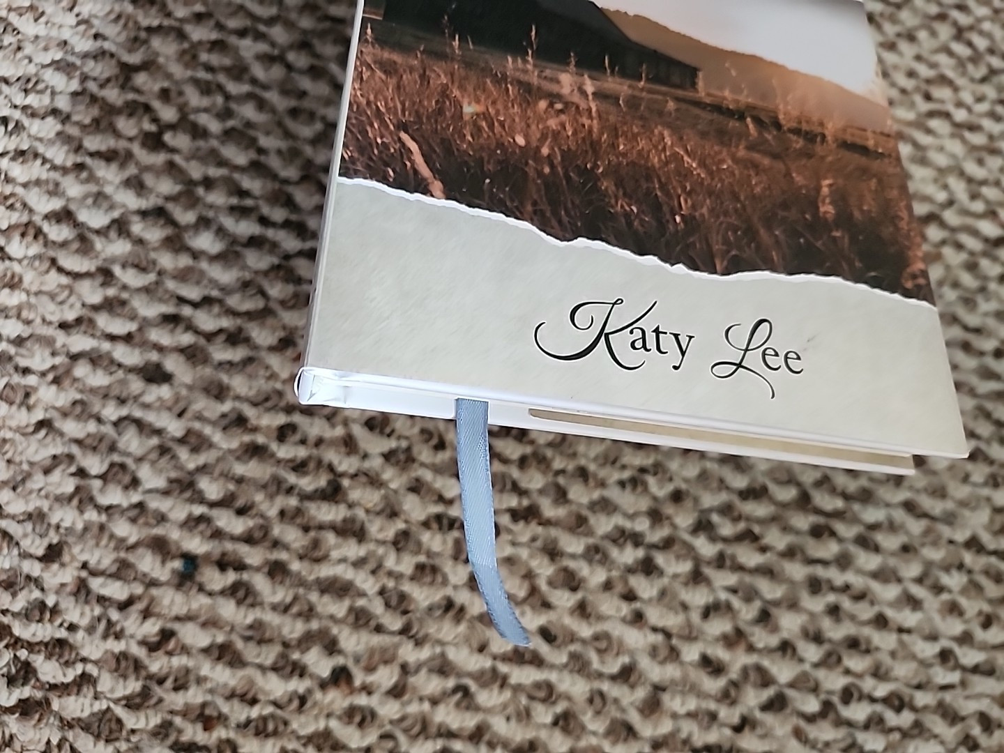 Remote Danger by Katy Lee HCDJ with cloth bookmark 2024 Hearts in Peril