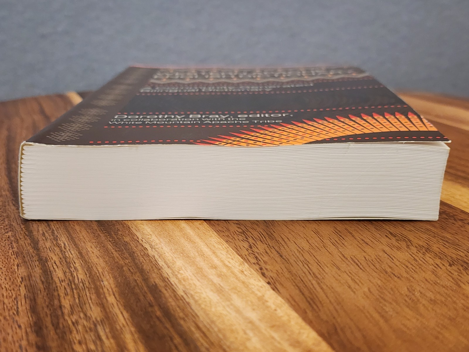 Western Apache-English Dictionary – Bray – Bilingual Native American Language