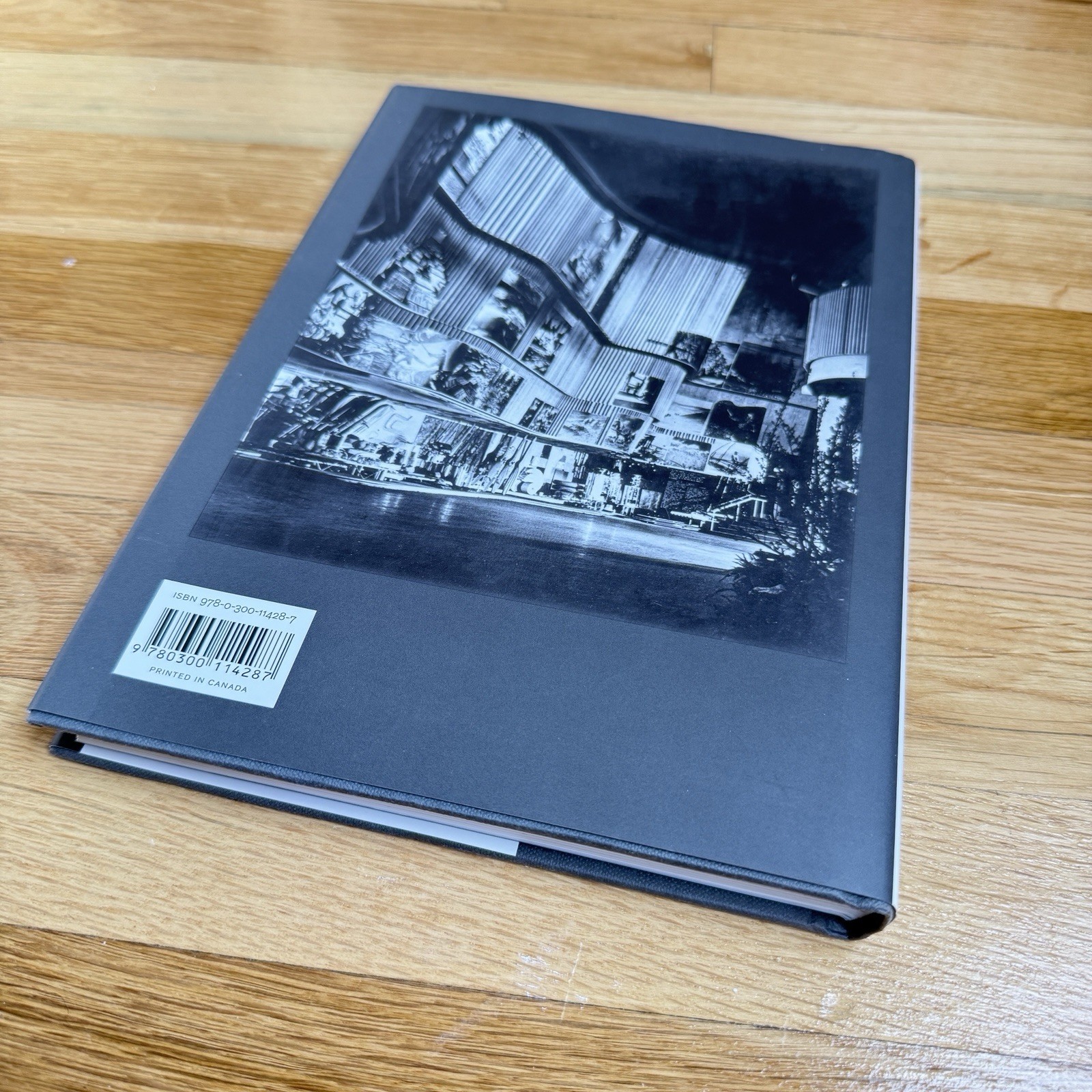Alvar Aalto : Architecture, Modernity, and Geopolitics by Eeva-Liisa Pelkone HC