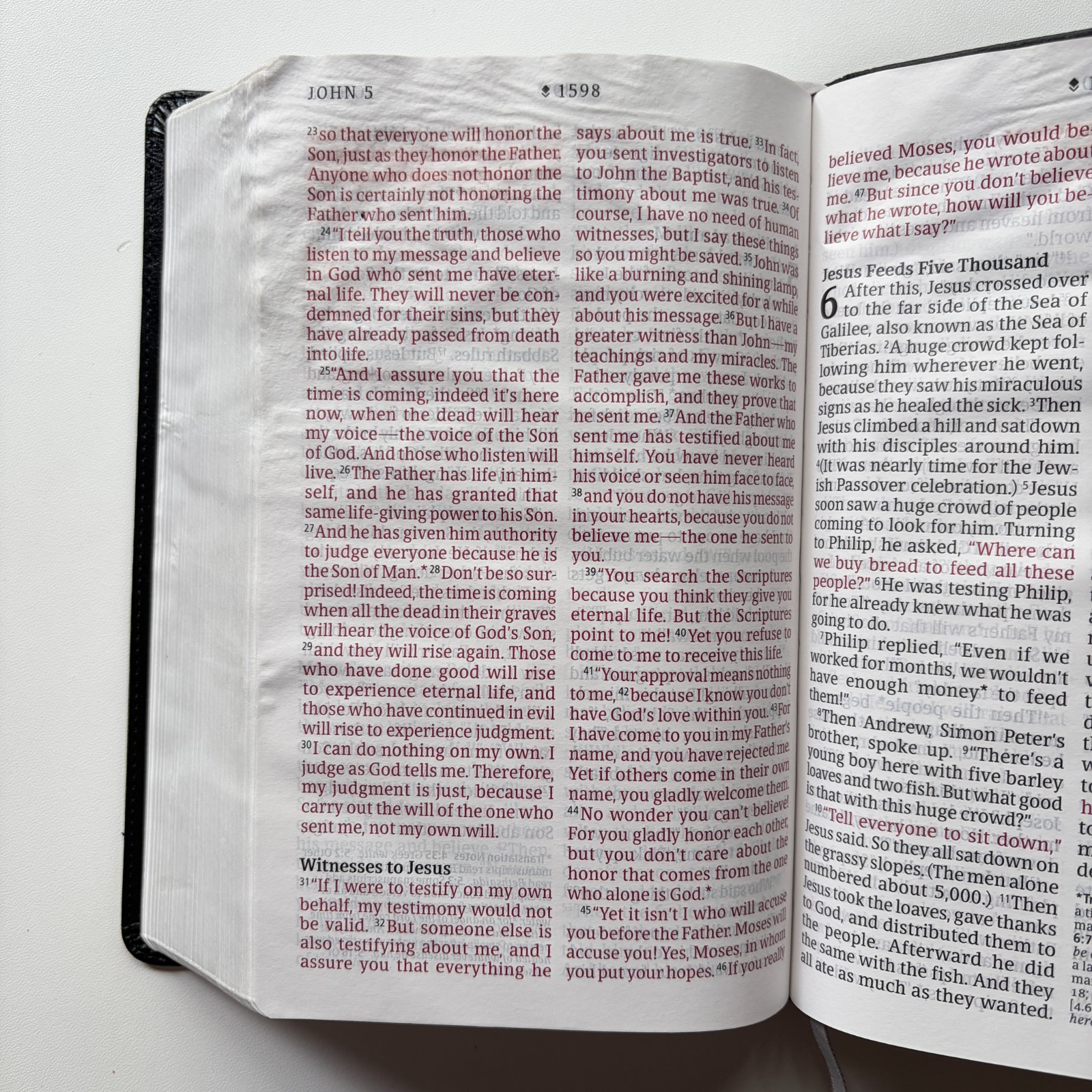 NLT Holy Bible Giant Print Personal Size Filament Enabled Tyndale Black Leather