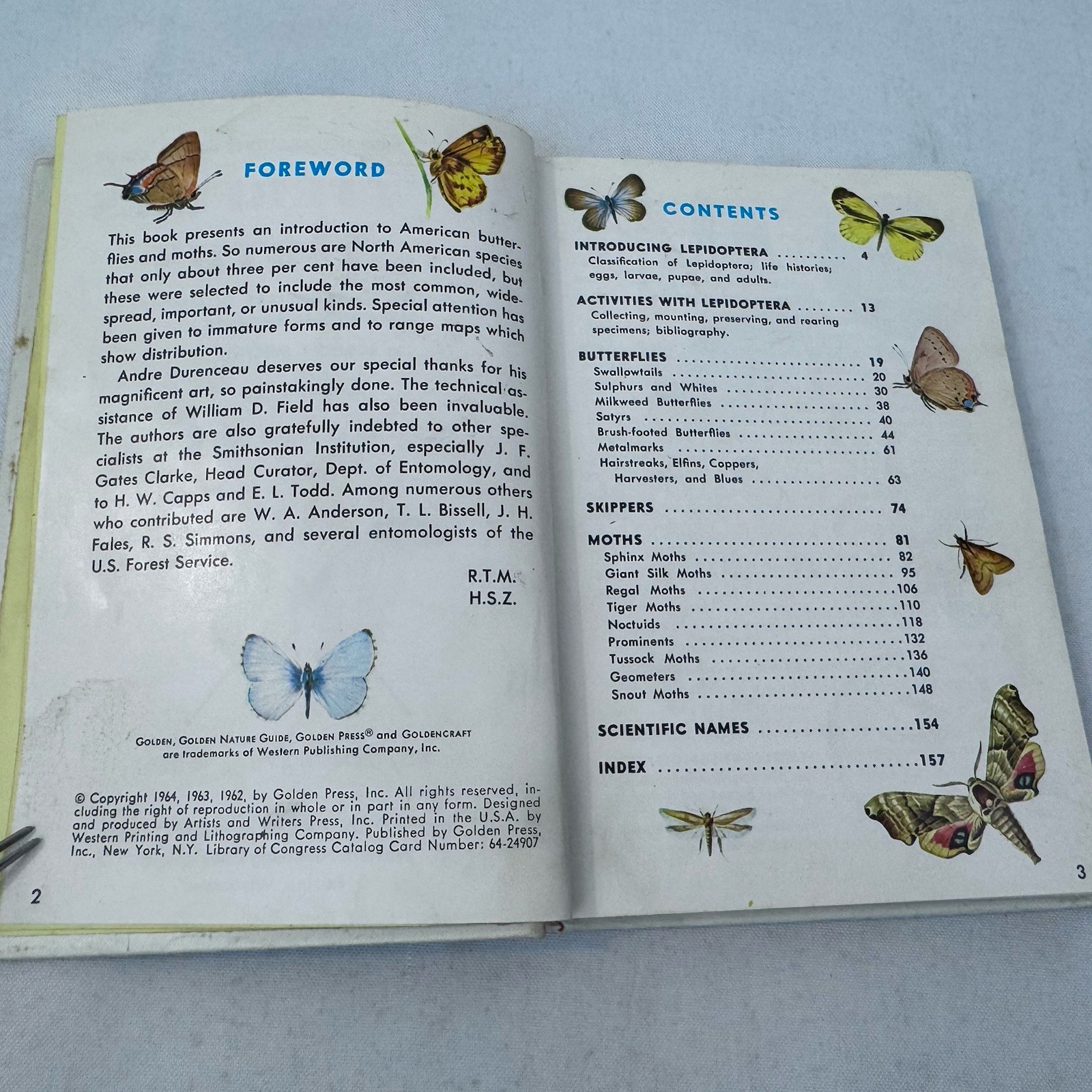 Butterflies and Moths A Golden Nature Guide Hardback 1964 Golden Press Fast Ship