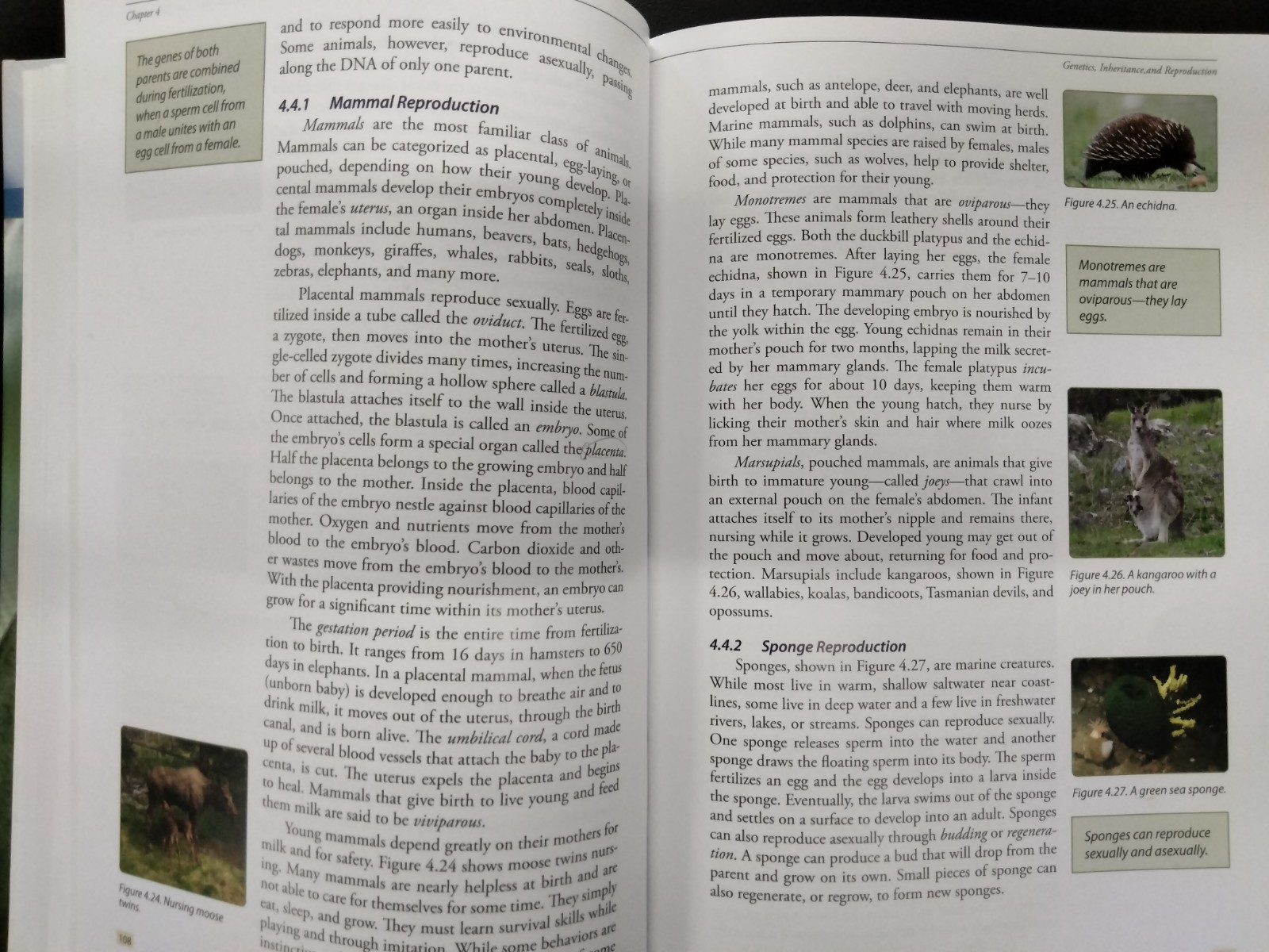 Life Science Novare Classical Academic Press Tracy Creek
