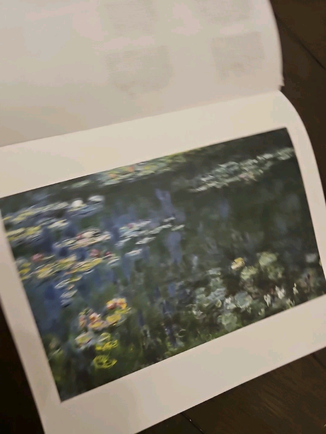 Monet Taschen Portfolio – 14 Prints Ready To Frame