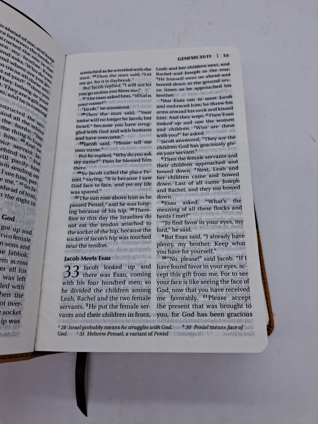 Zondervan Holy Bible NIV New International Version Large Print 2011