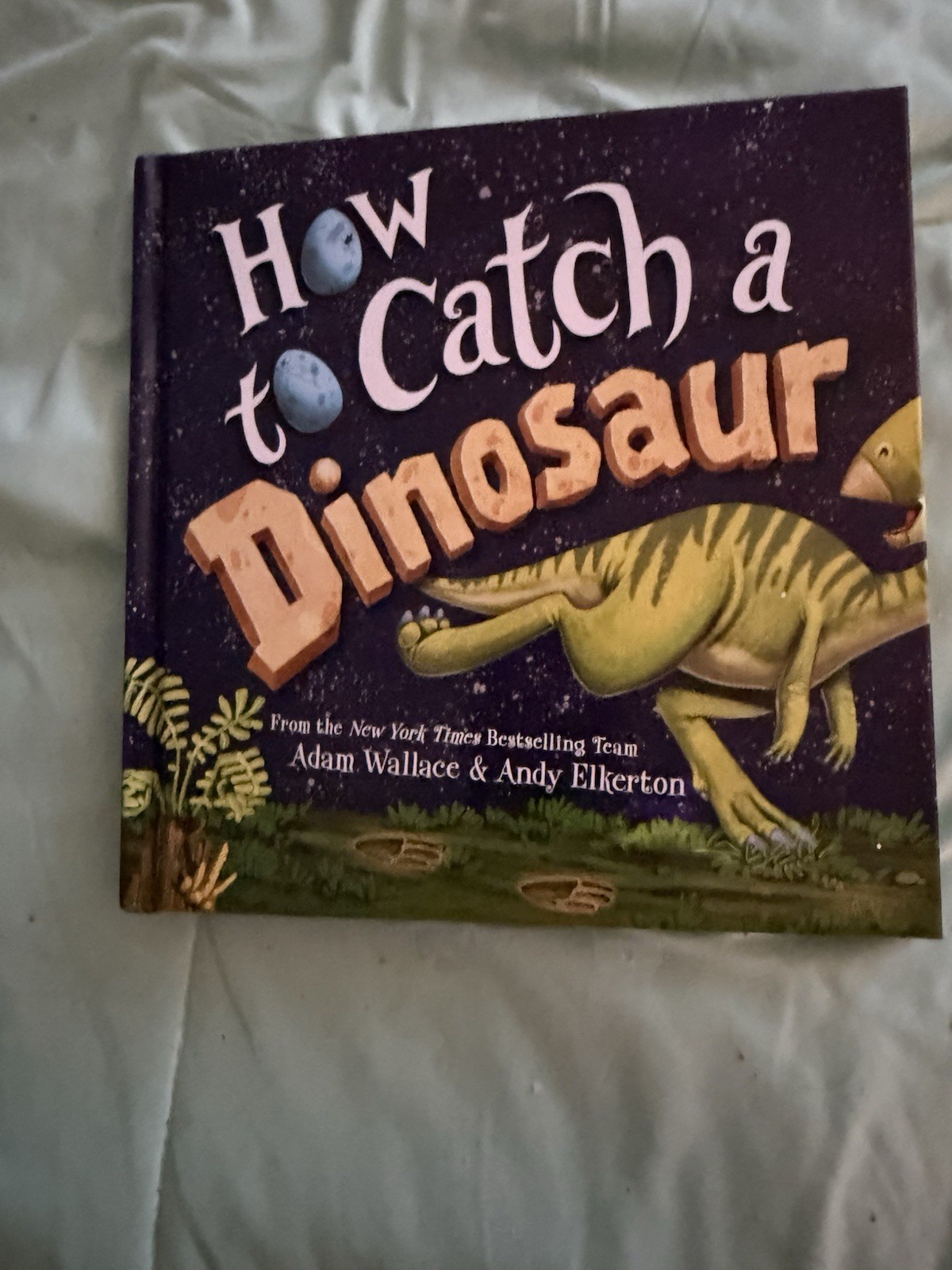How to Catch a Dinosaur by Adam Wallace (English) Hardcover Book