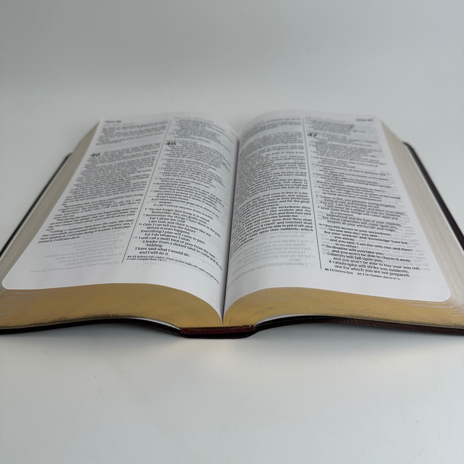 Holy Bible Tyndale TBN Parallel KJV NLT Burgundy Gold Gilt Special Edition Study
