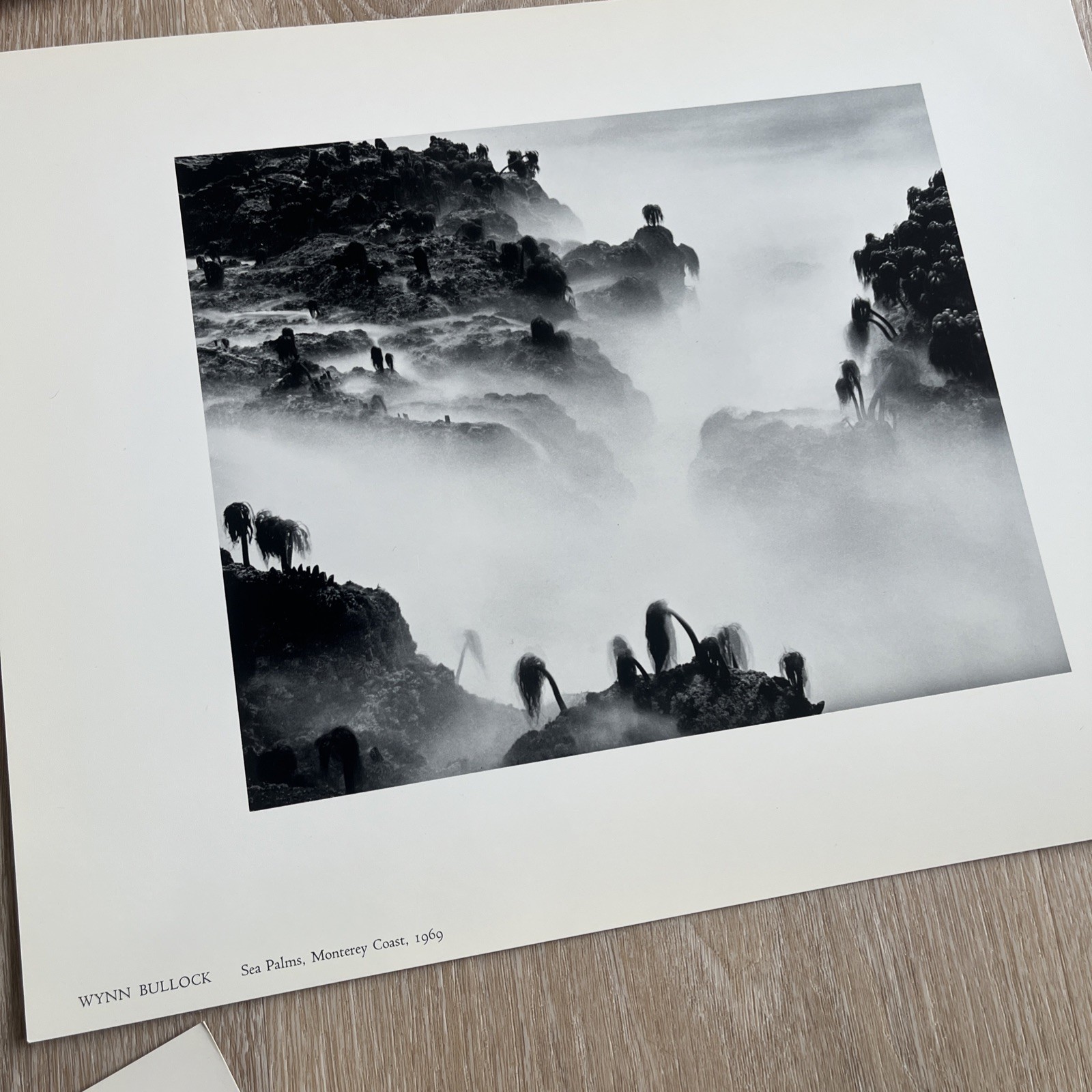 1969 Ansel Adams’ Friends of Photography 1st Portfolio The Persistence of Beauty