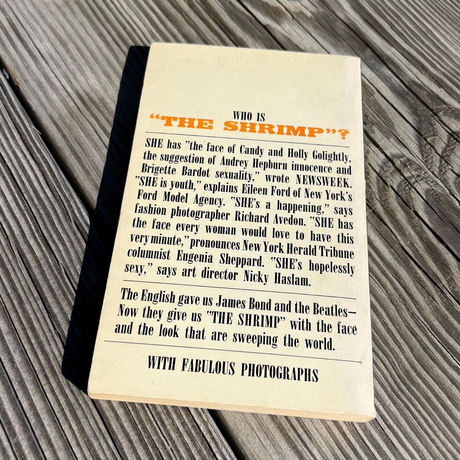 My Own Story, The Truth About Modeling, Jean Shrimpton, A Bantam Book, 1965