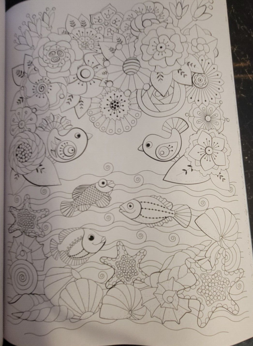 SEASUDE ESCAPES Adult Coloring Book With 62 Prints Ready To Color Relaxing Calm