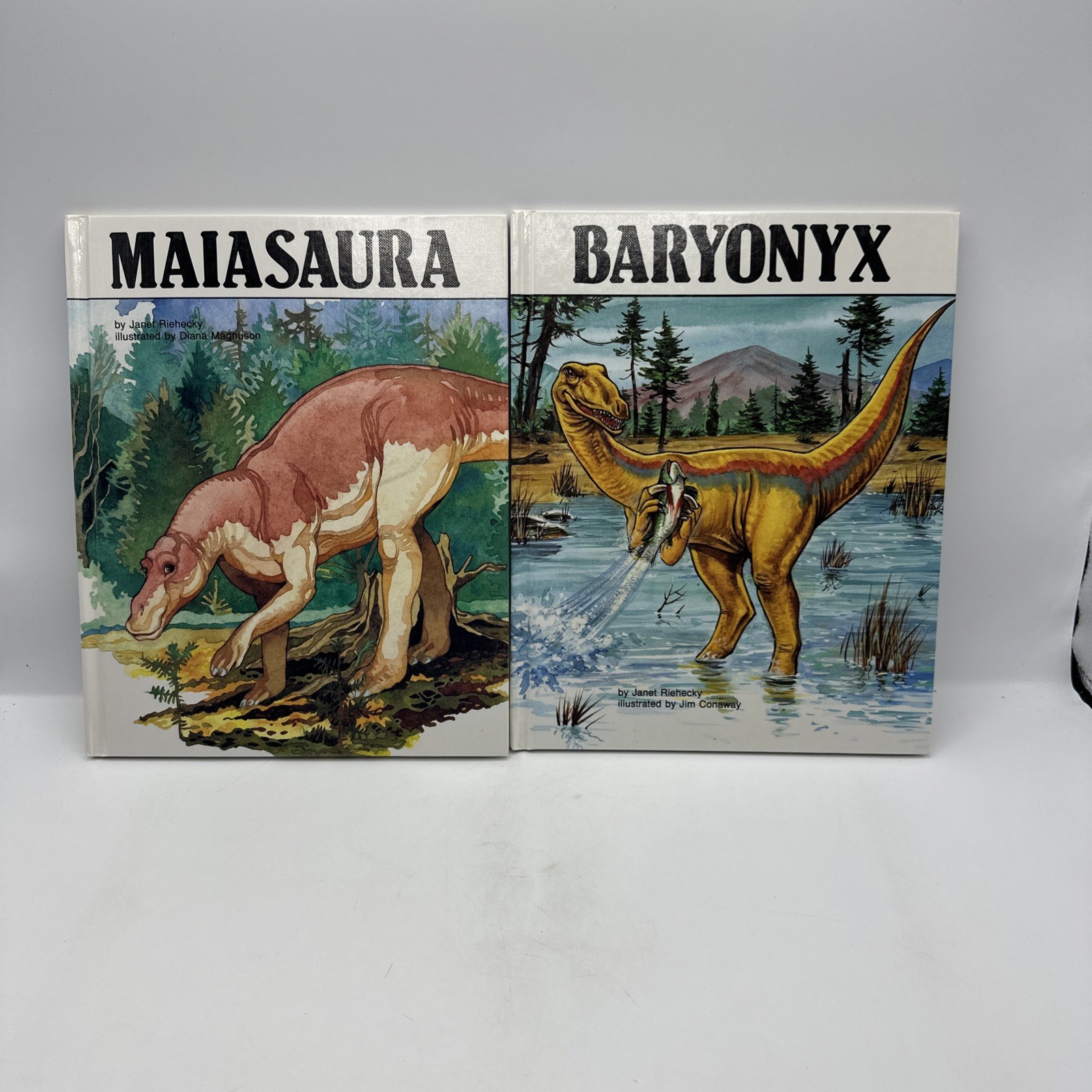 Dinosaur Hardcover Books 1991 Janet Riehecky The Child’s World Series 18 Books
