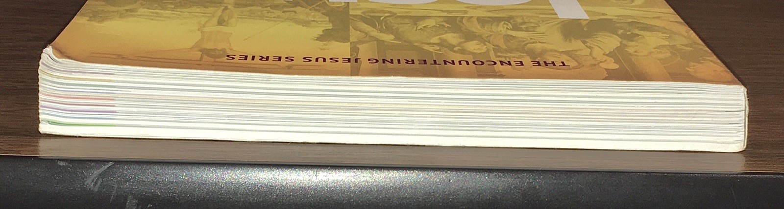 Lot: 4 Ave Maria Press Encountering Jesus Series Books