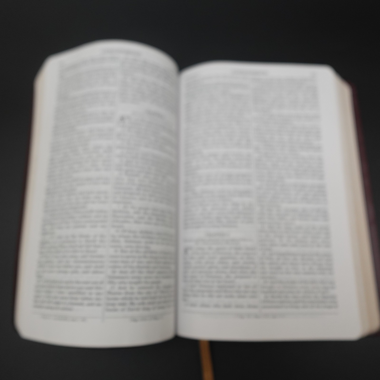 Douay Rheims Bible Burgundy Premium UltraSoft Catholic Bible St Benedict Press