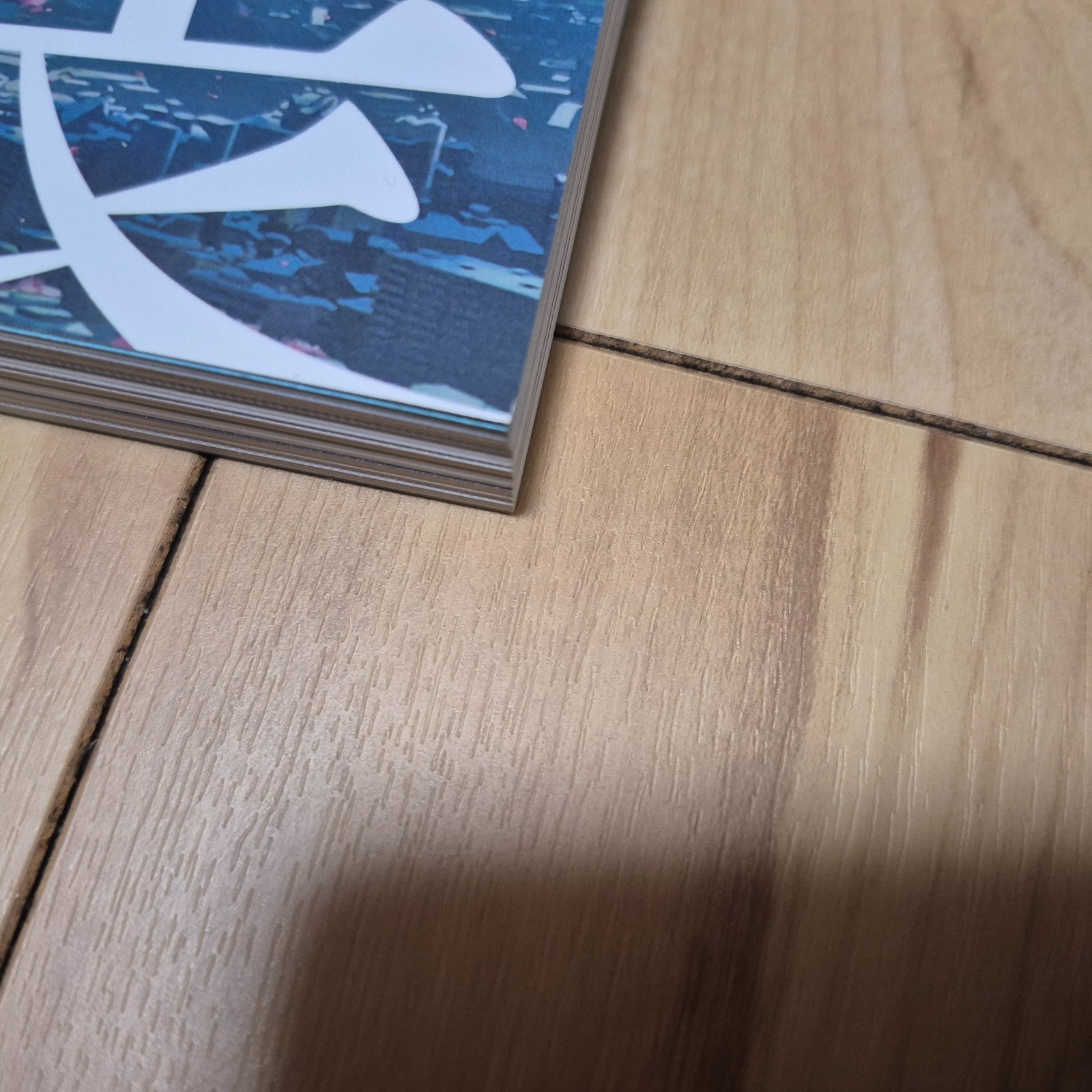 Makoto Shinkai Exhibition – Animation Production Feature Book Shinkai Makoto