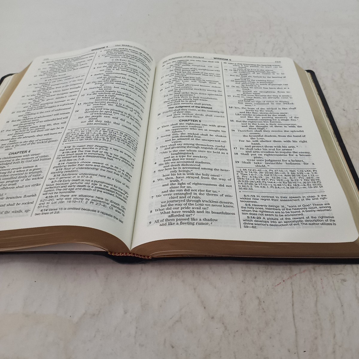 New American Bible Official Bible Catholic World Press 2011 Revised ED