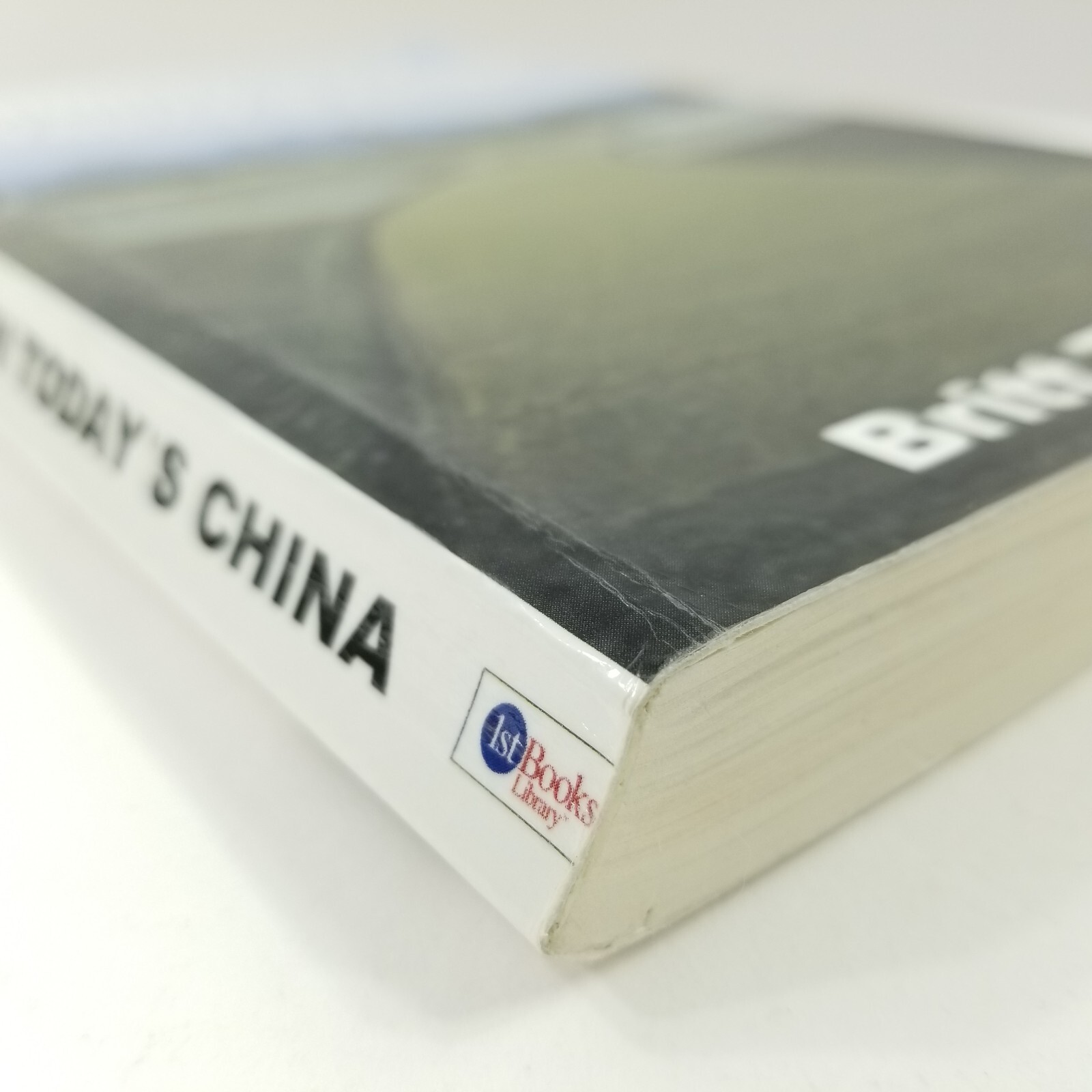 Christianity in Today’s China (Signed & Inscribed) by Britt Towery Taking Root