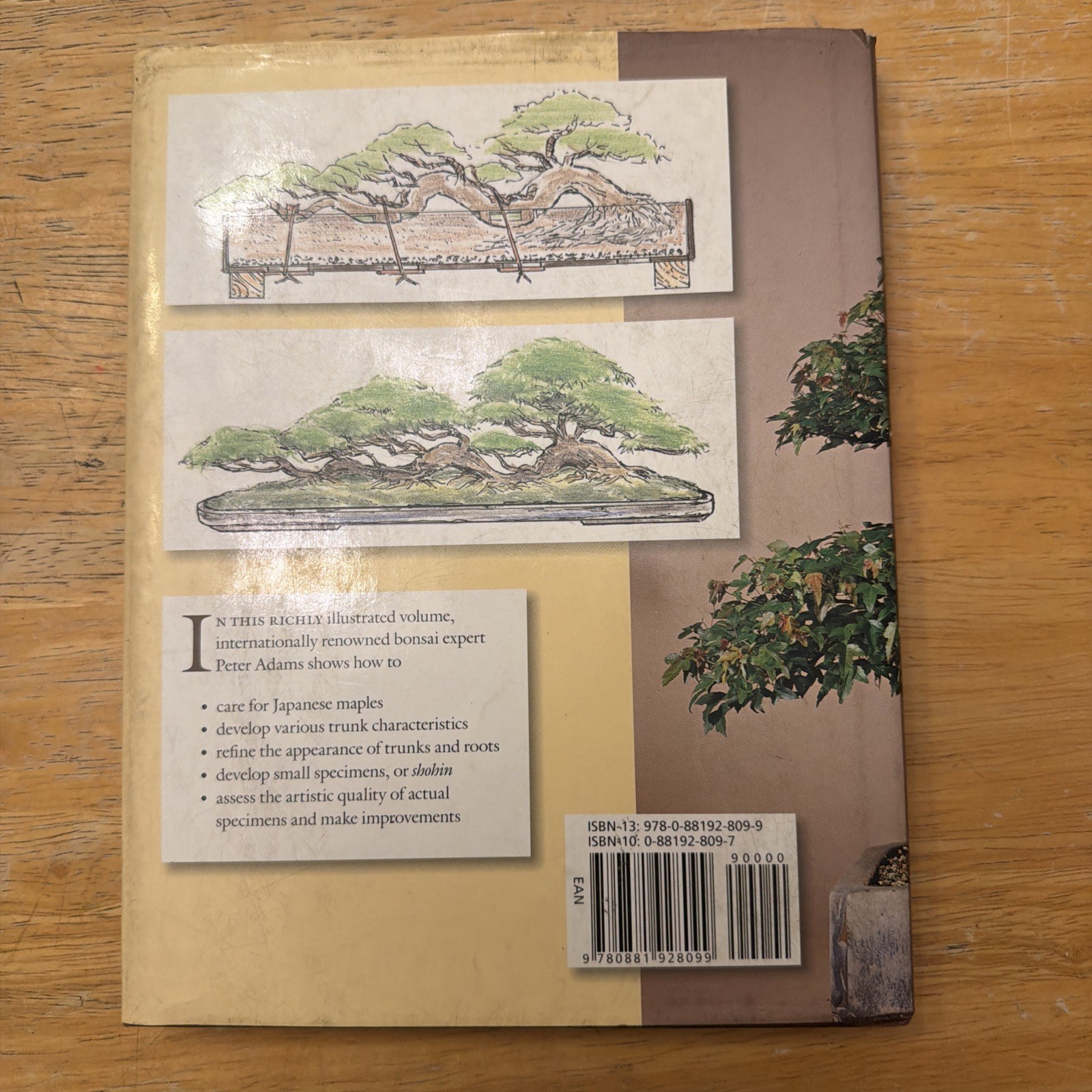 BONSAI WITH JAPANESE MAPLES By Peter Adams – Hardcover , Highlighting 10 Pages