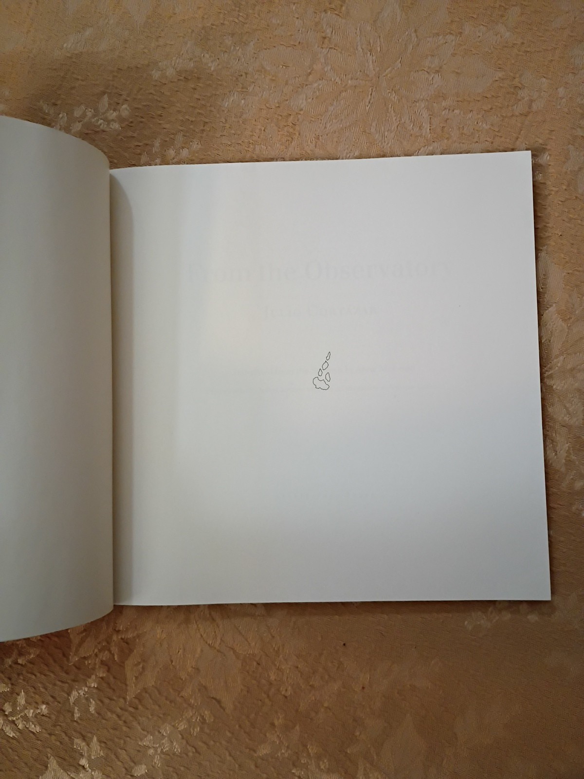 2011 From the Observatory Julio Cortázar 1st Archipelago Books Edition Paperback