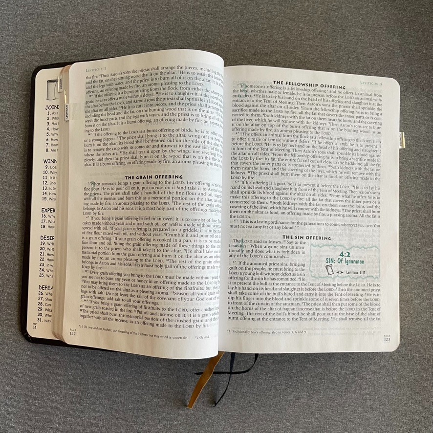 THOMPSON ANSWER BIBLE – NIV- SIMULATED LEATHER BRIDLE By Hartnell House